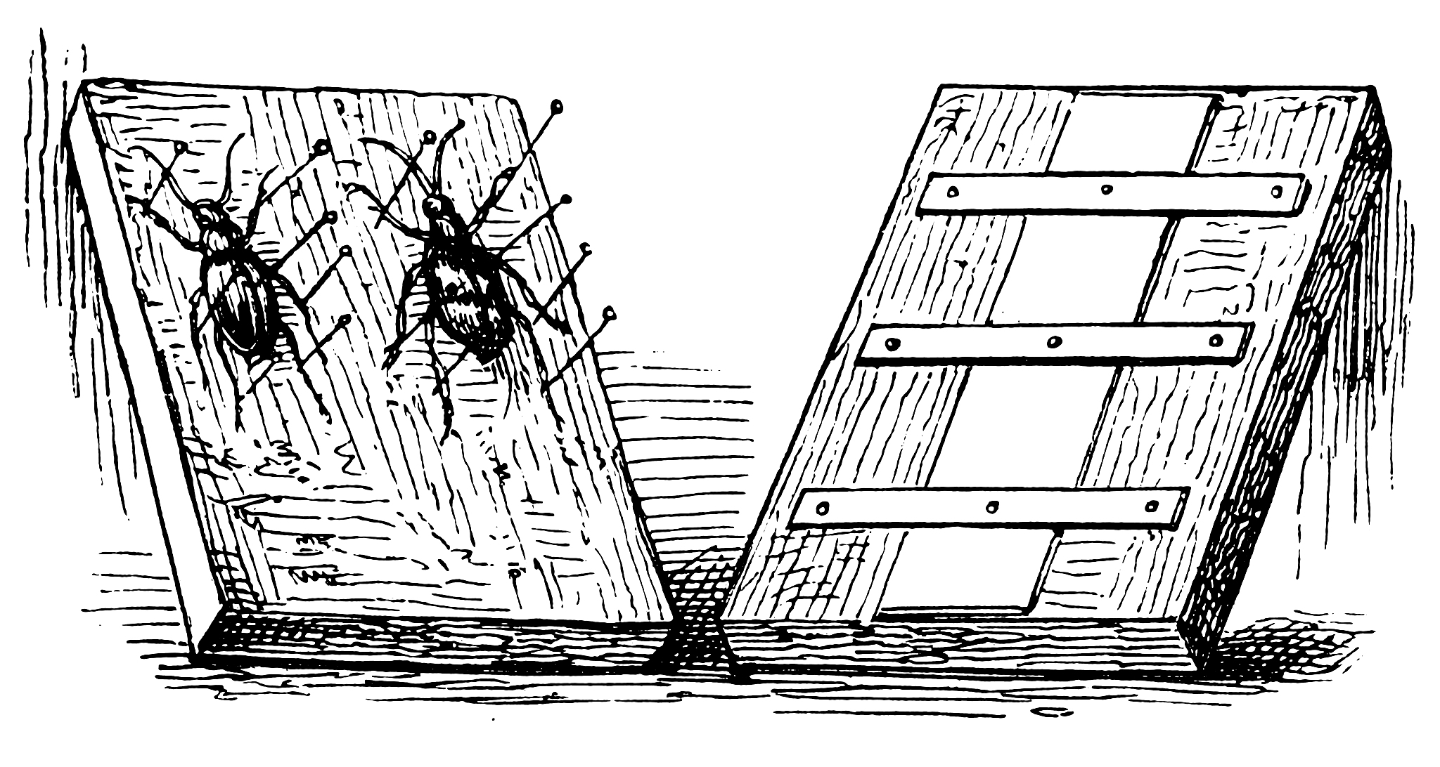 贵州省畜牧兽医学校一般有哪些专业动物医学专业好学吗