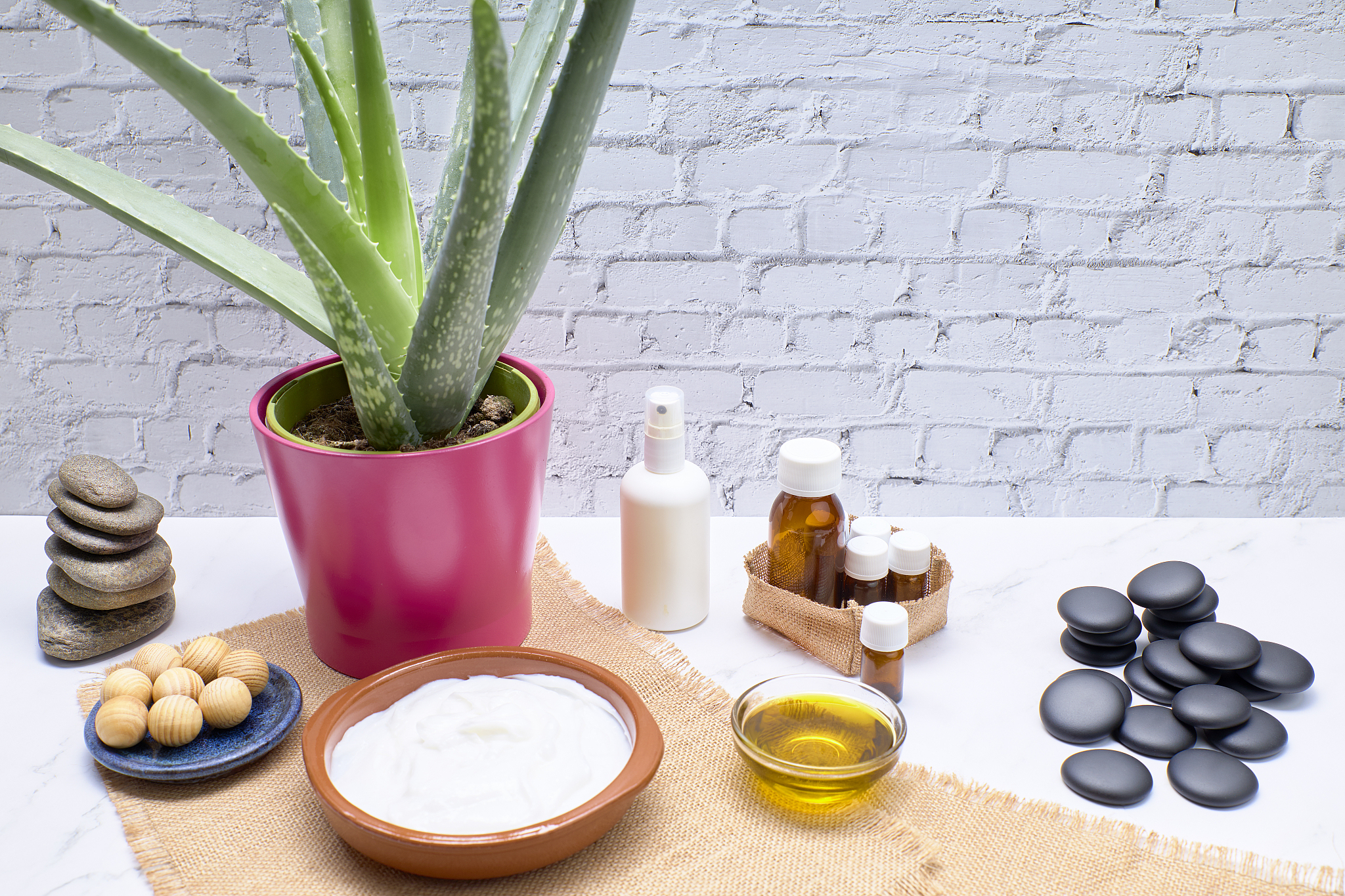 2019年重庆知行卫生学校招生专业