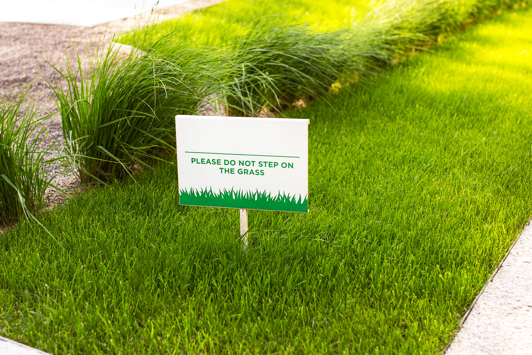 除草剂广告语：轻松除草，打造美丽庭院