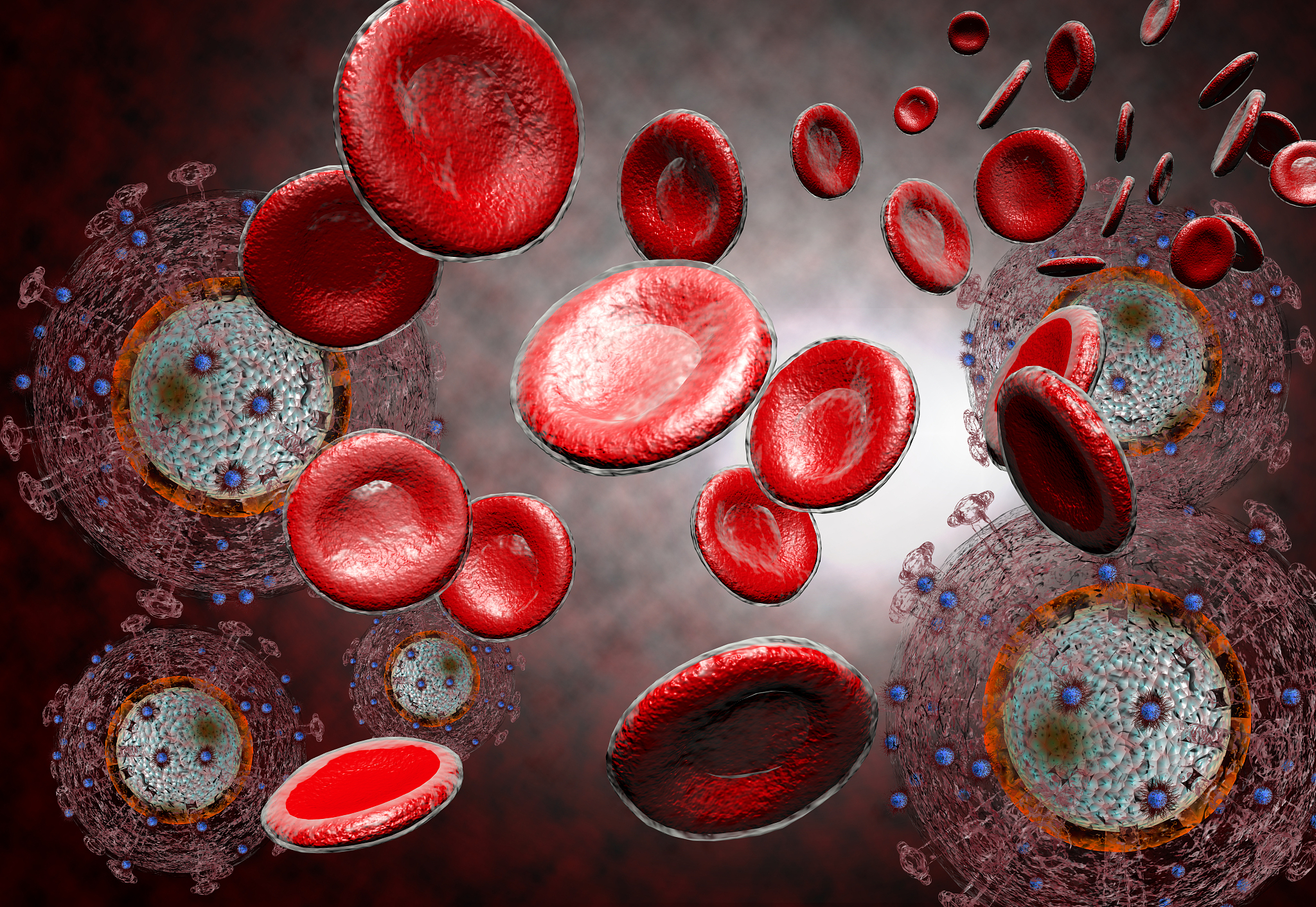 艾滋病病毒对应的T细胞如何在人体免疫系统起作用？