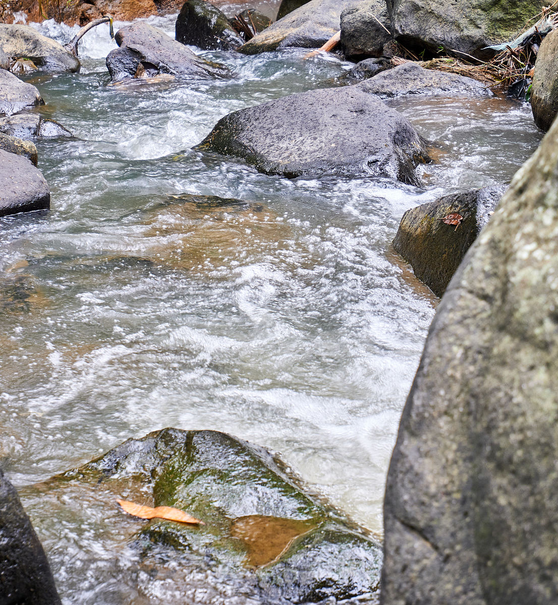纯流量卡骗局如何投诉？江苏/云南流量卡购买指南