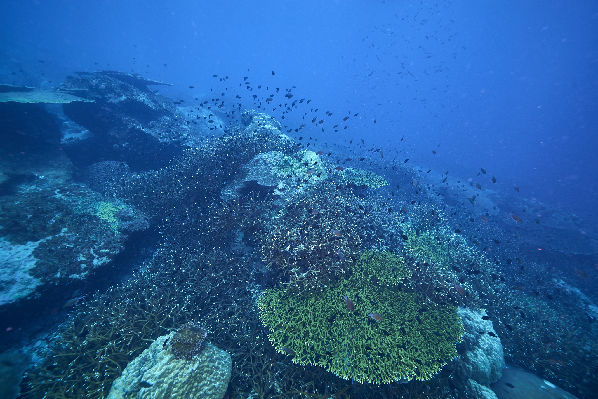 underwater