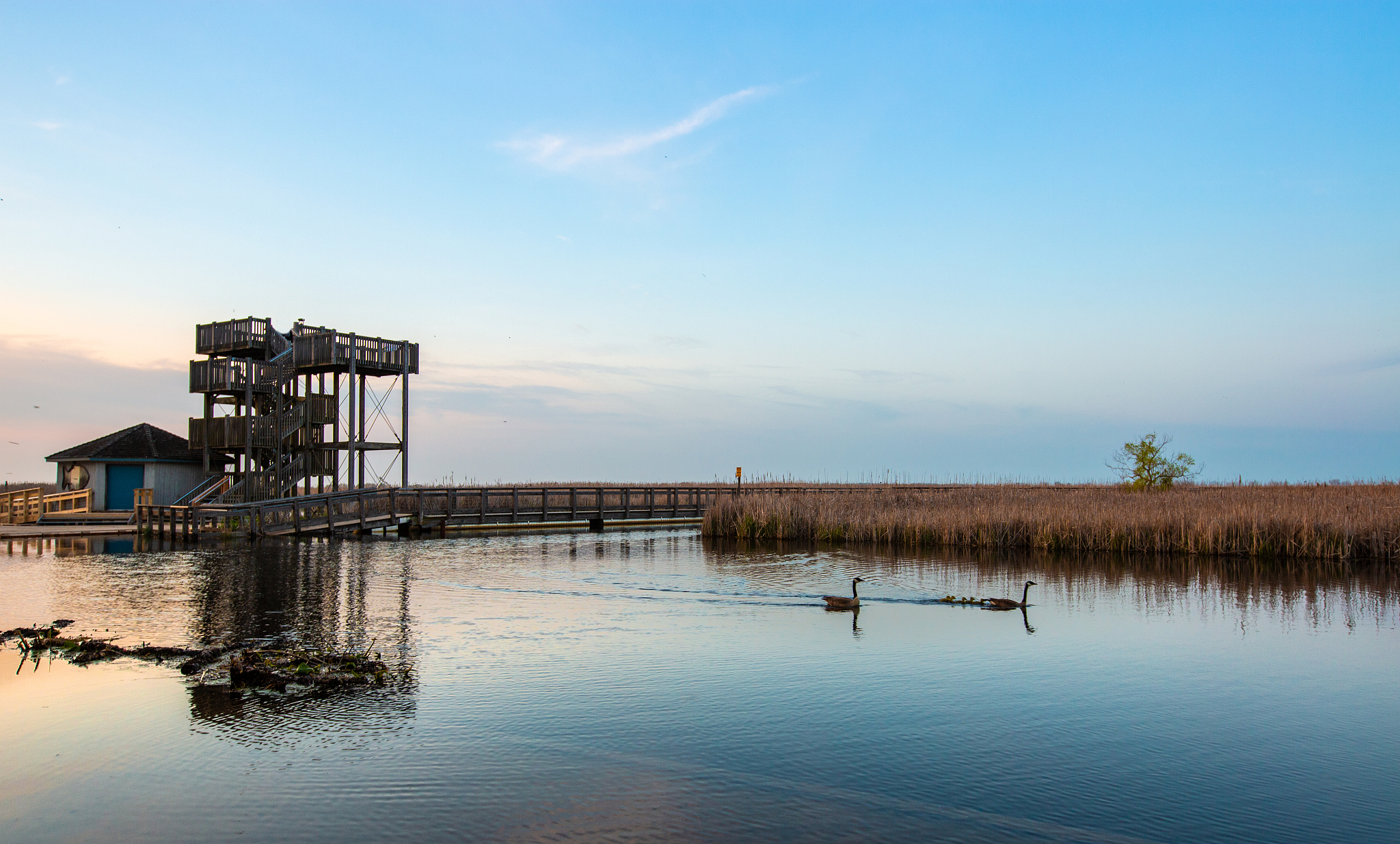 上海各区旅游景点推荐：崇明岛、浦东新区、南汇区、奉贤区、宝山区、金山区