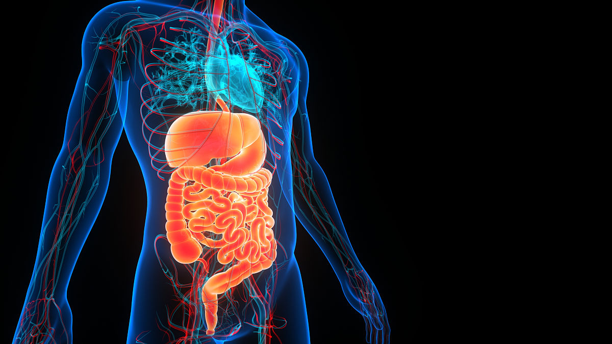 寒邪入侵导致胆囊收缩功能下降？试试灌南苦菜汤！