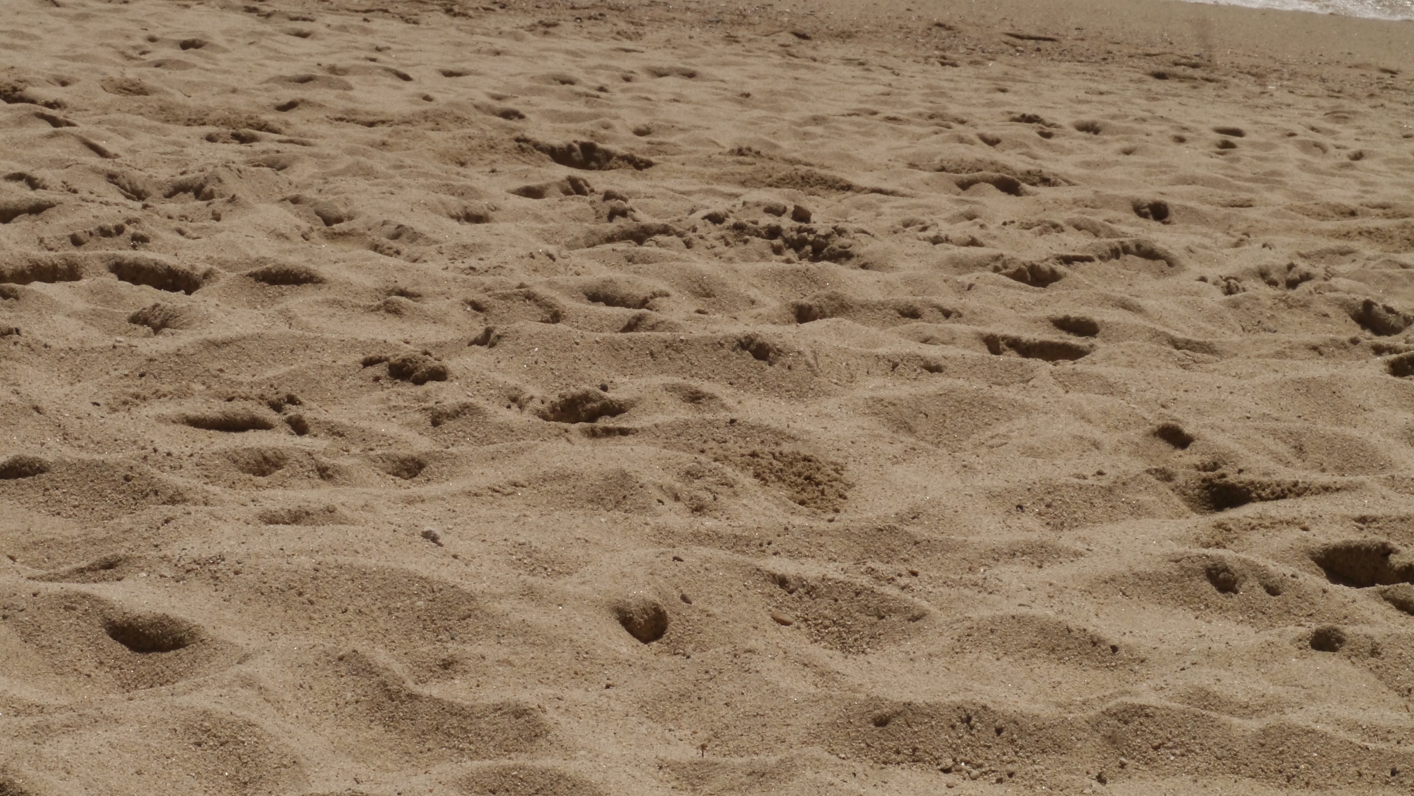 sea sand