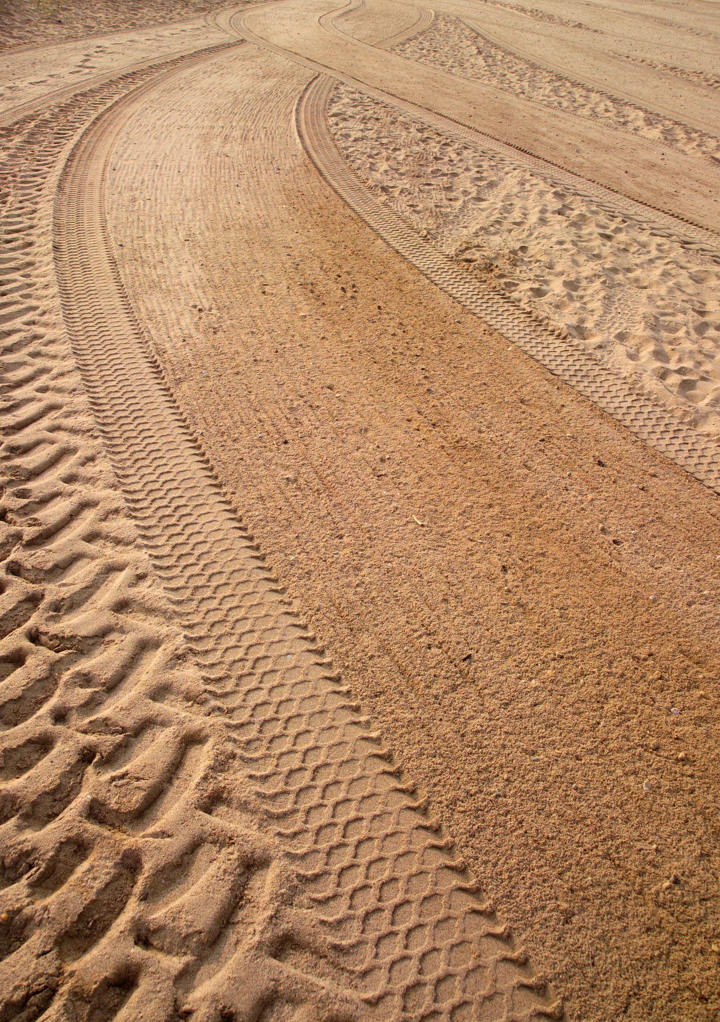 tracks on a beach