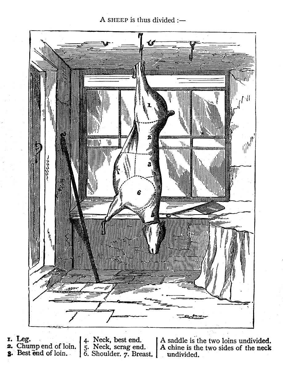 what is the charge of quark 