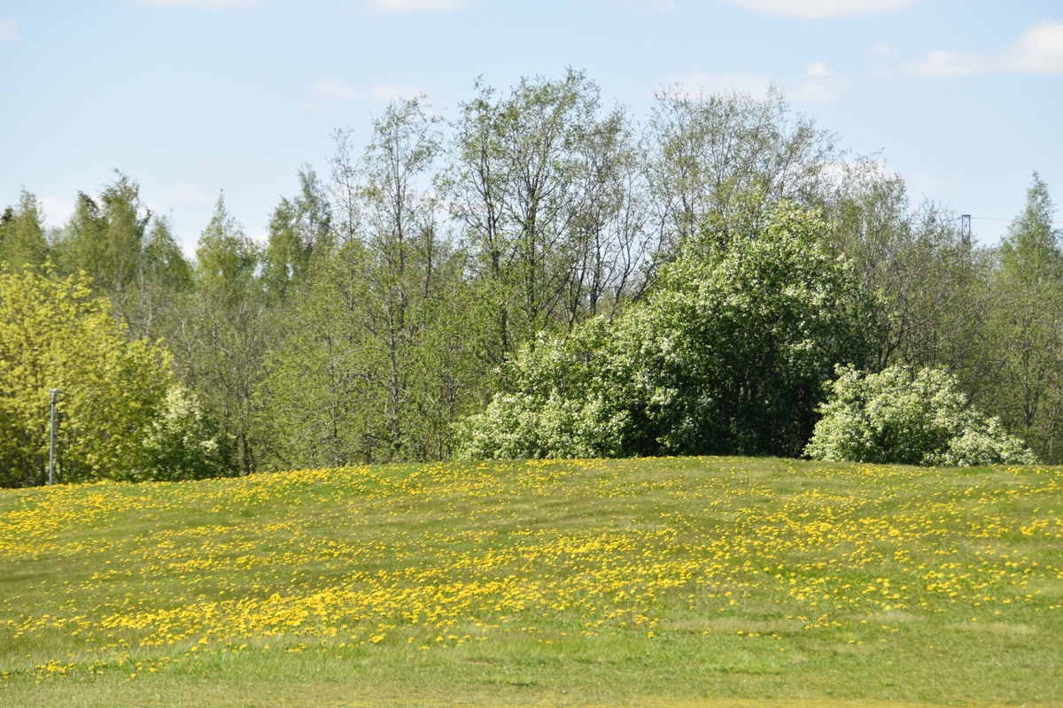 八千字的春天作文