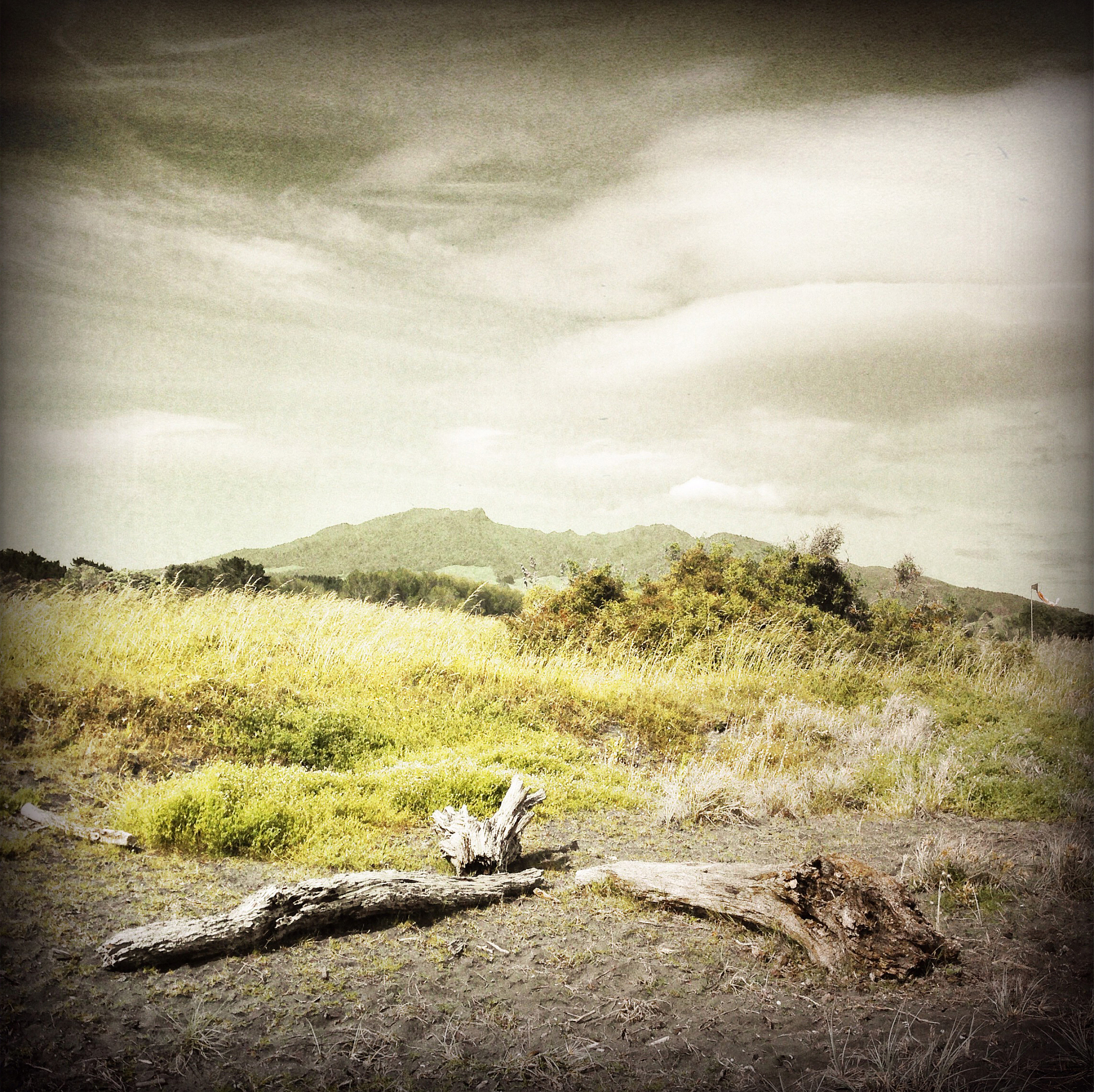 请你仿写以下诗句创作一首诗超现实浪漫一点：一遮住流动的窗好奇的鱼游进房子时间在房间尽头磨洗锈迹树冠的云落起雪来二人们聚在秋天的岸边一场大火里在插满羽毛的草堆旁和归来的骏马对视三山谷里住满孤独的旅客他们把甜美的爱灌进瓶中夭折的孩子吐出萤火虫牵动着供桌上的亡魂四把麦穗摔打成灰在幽深的咀嚼中 大雪过境困住风的气球开始斑斓的远行五一望无际的梦里用碗里的米垒墙乌云写满咒语遮住众生疲惫的骨头 六胸口的鸟群