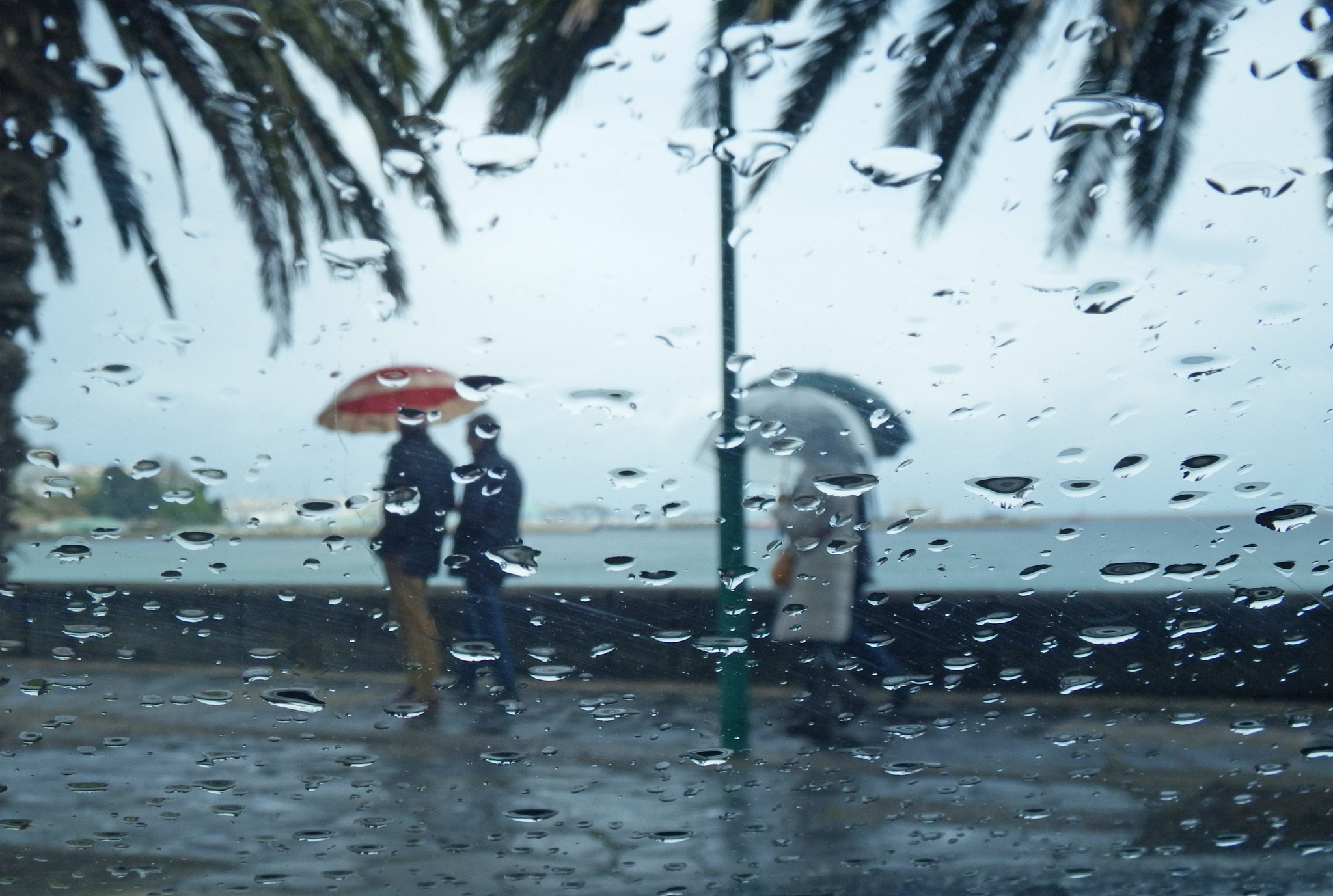 描述一下一个人下雨天躲雨的烦闷心情