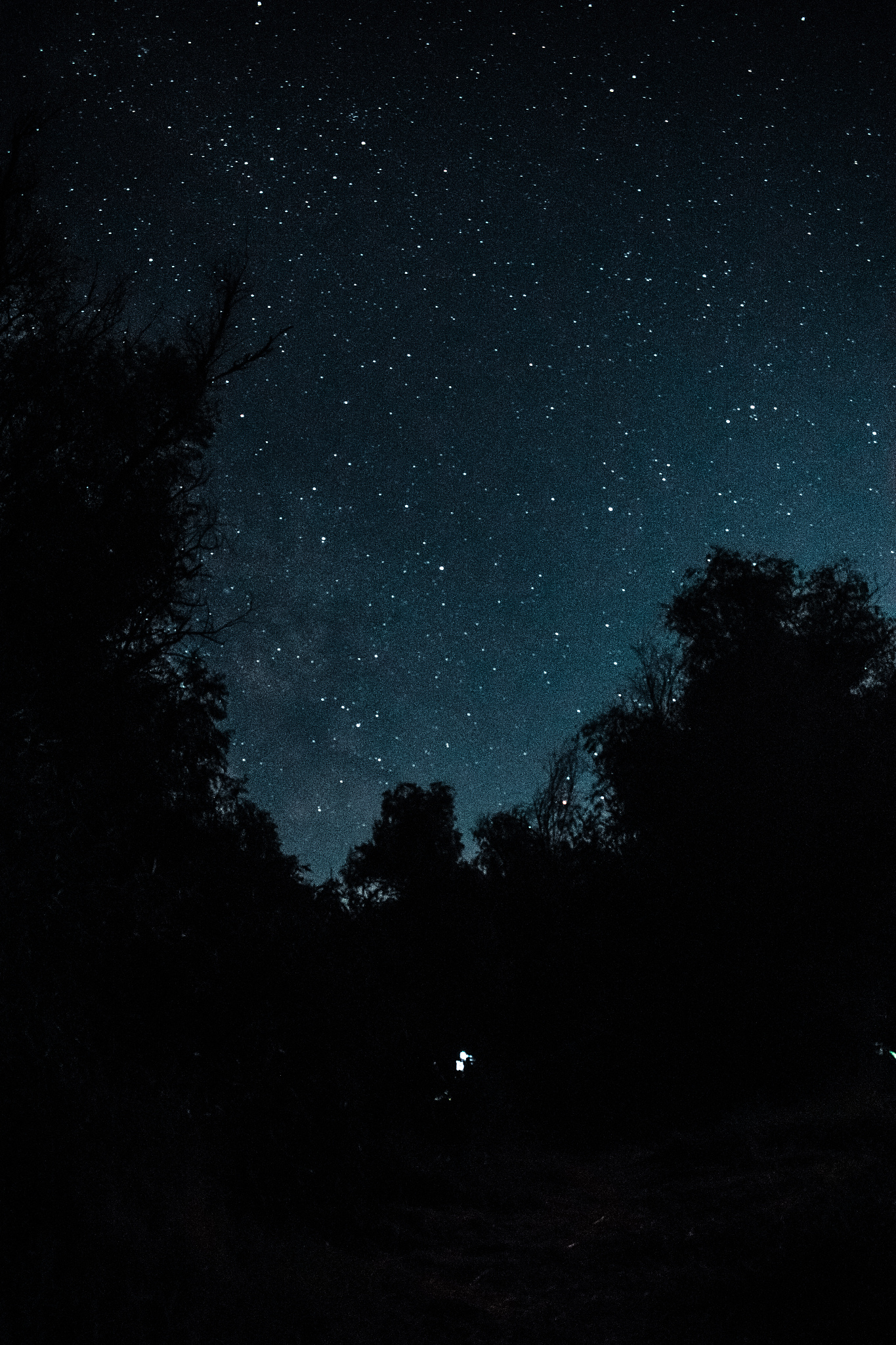 stars