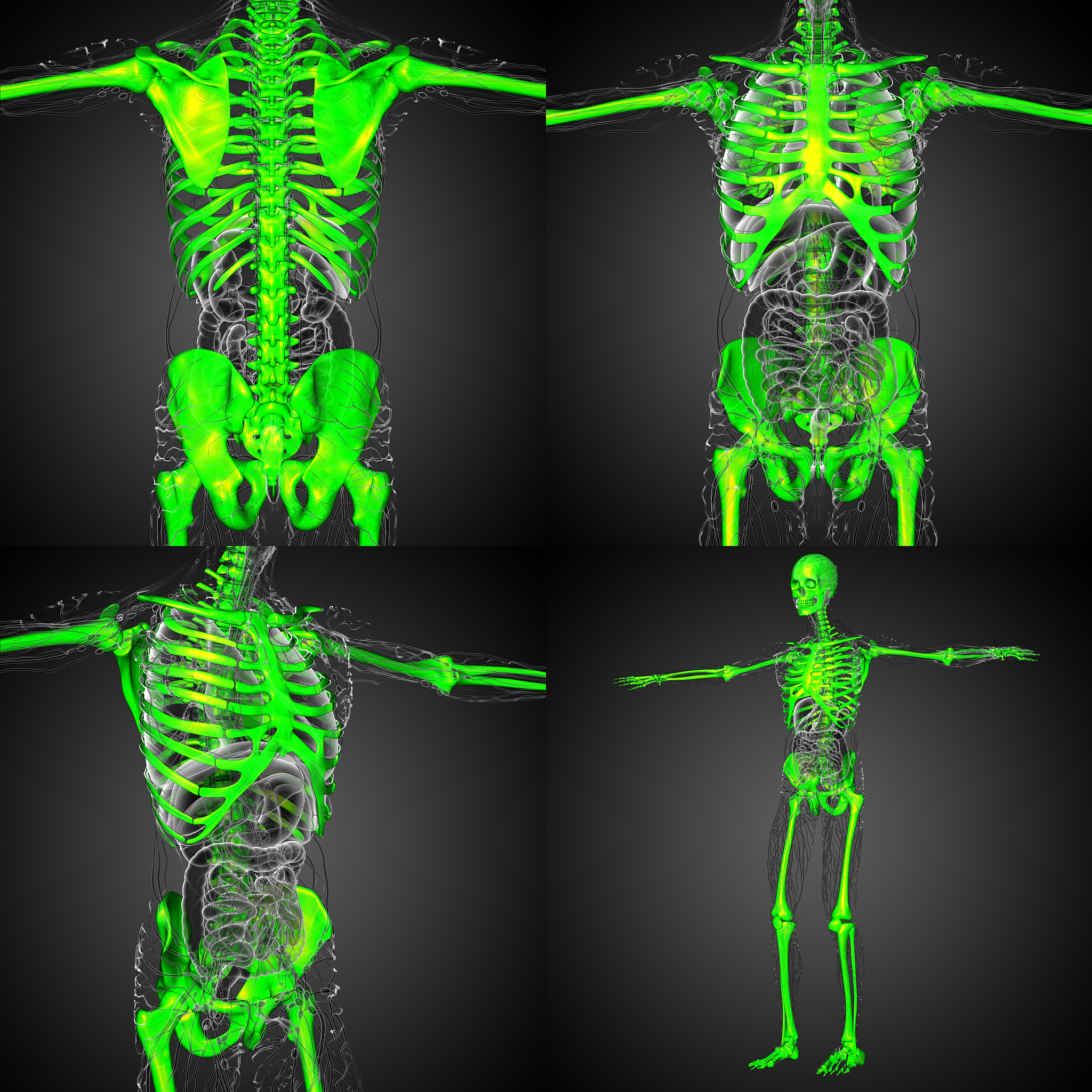 3D Unet分割结果三维可视化: 使用VTK实现(附Python代码)