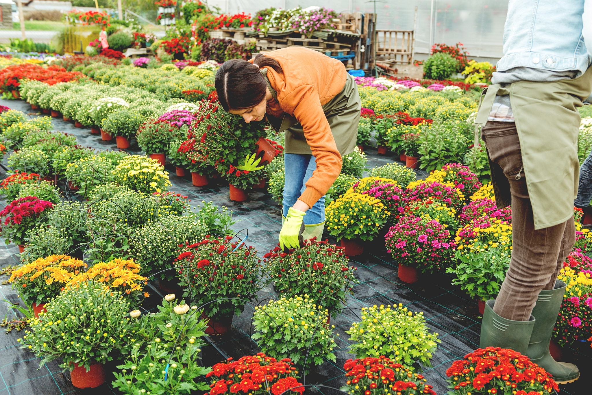 2019园艺专业就业前景和就业方向分析