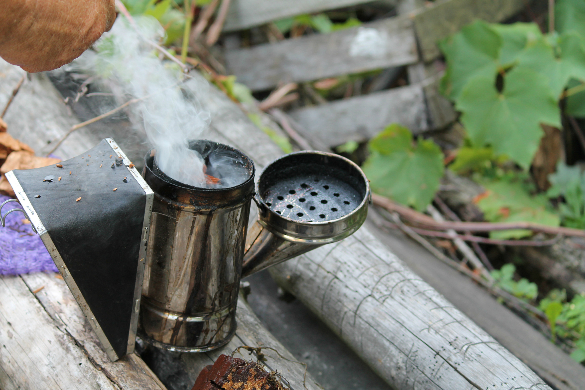毕节高中毕业上中专学校好吗