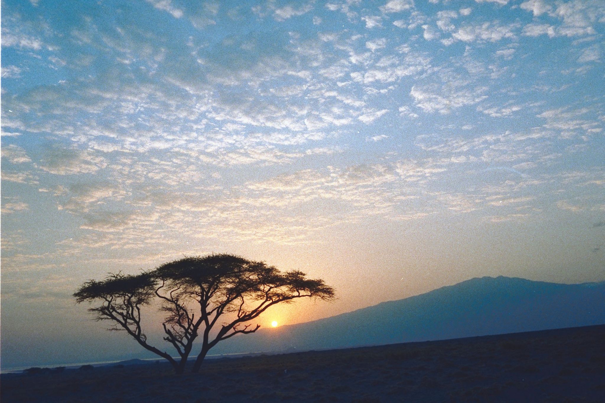写篇500字被好风景收买 剩下都是好心情。的旅游短视频治愈文案