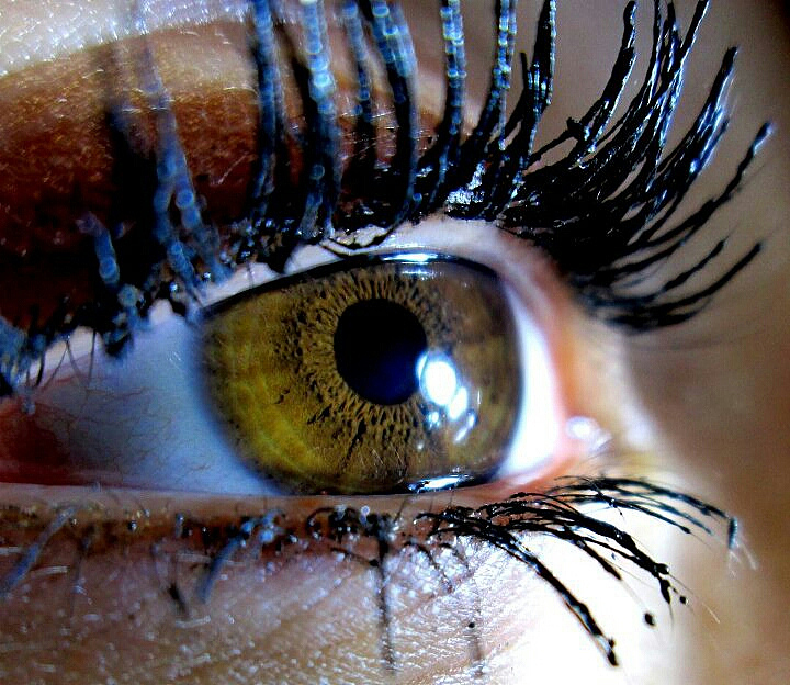 detail shot of human eye with lashes