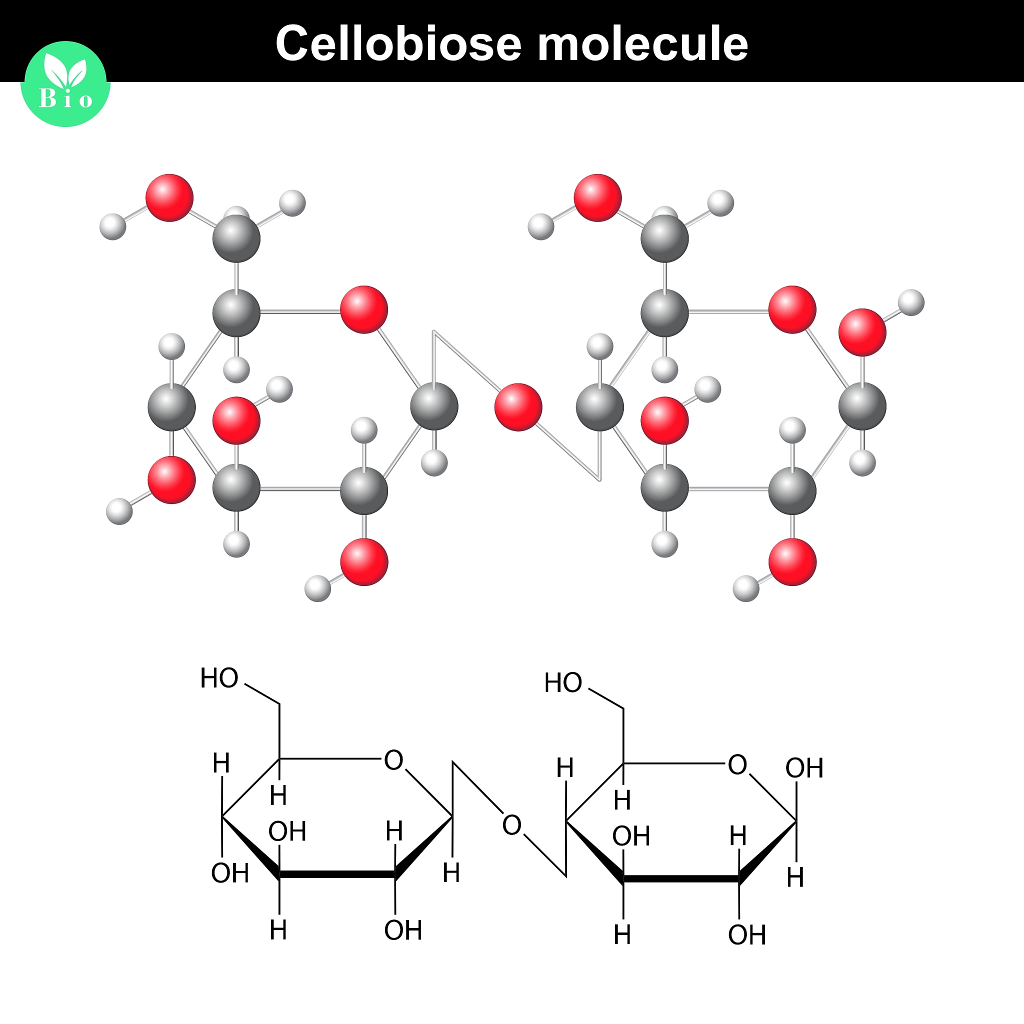 Hydrothermal Synthesis of Mo-Ag Bimetallic Sulfide: A Facile and Efficient Approach