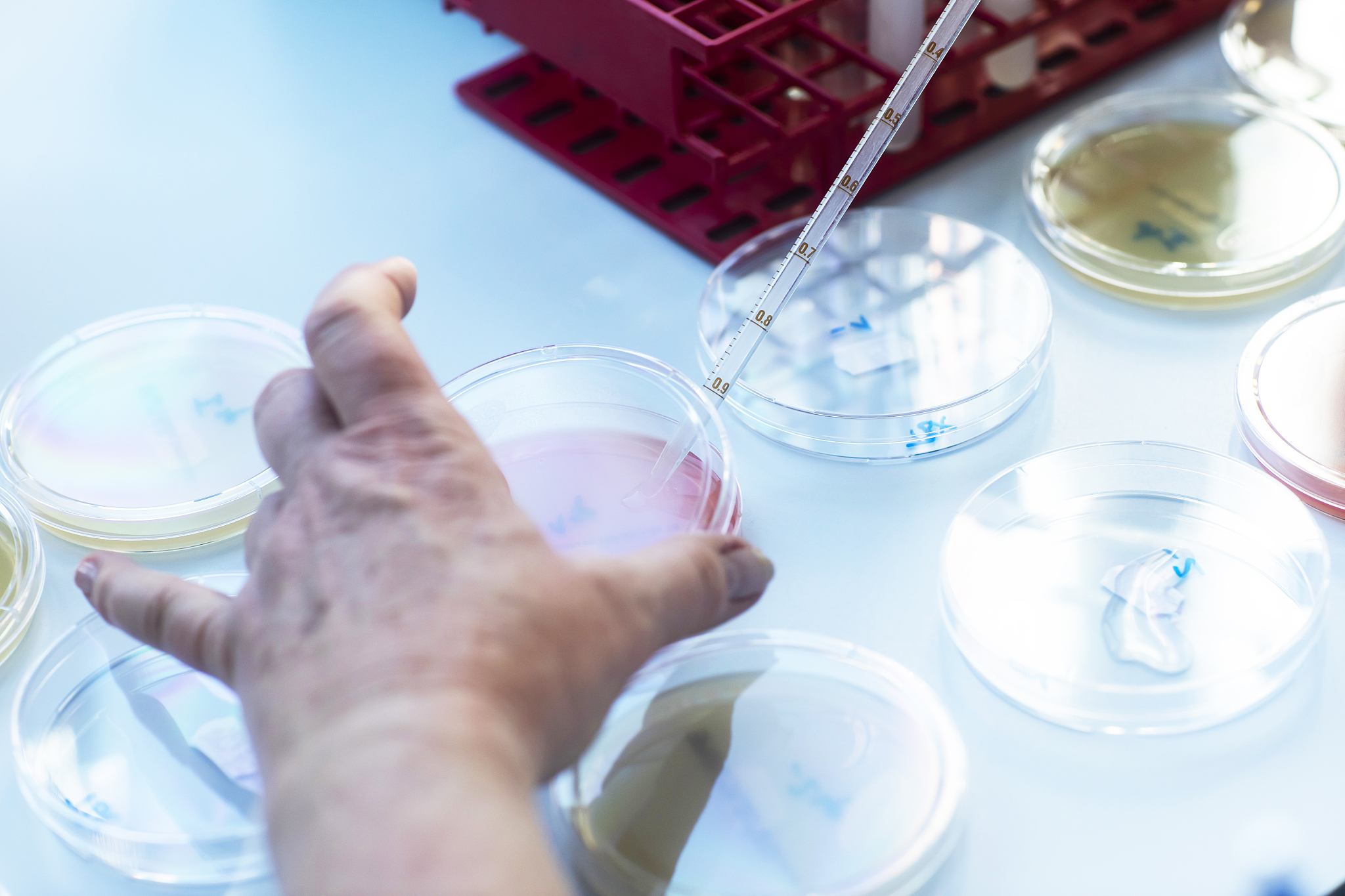 实验室技术员季度工作总结：工作内容、自我评价及下季度计划