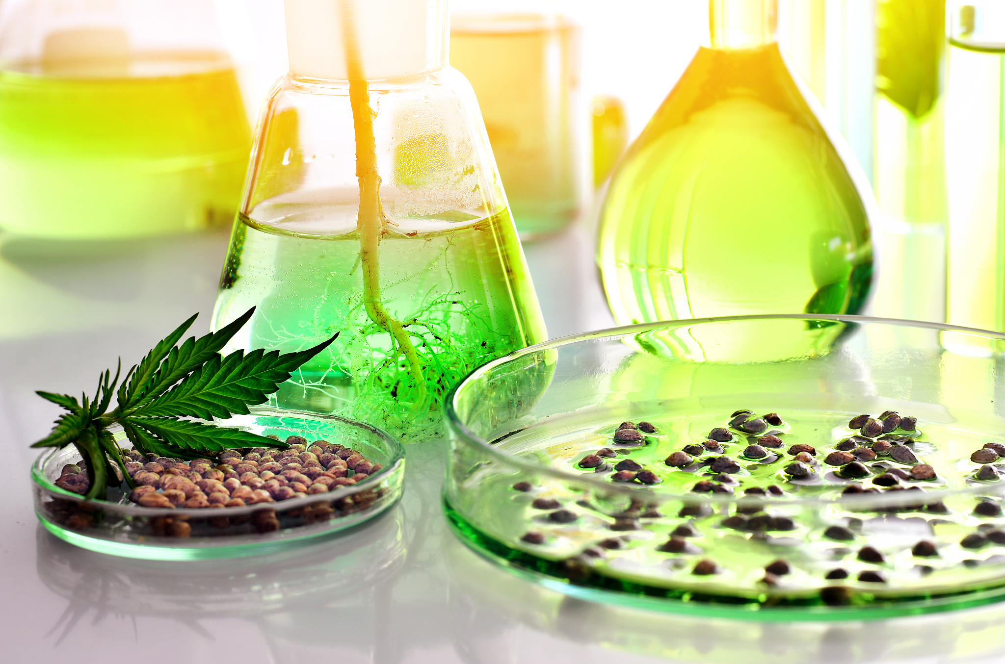 湖南化工职业技术学院生物化工工艺专业都学些什么