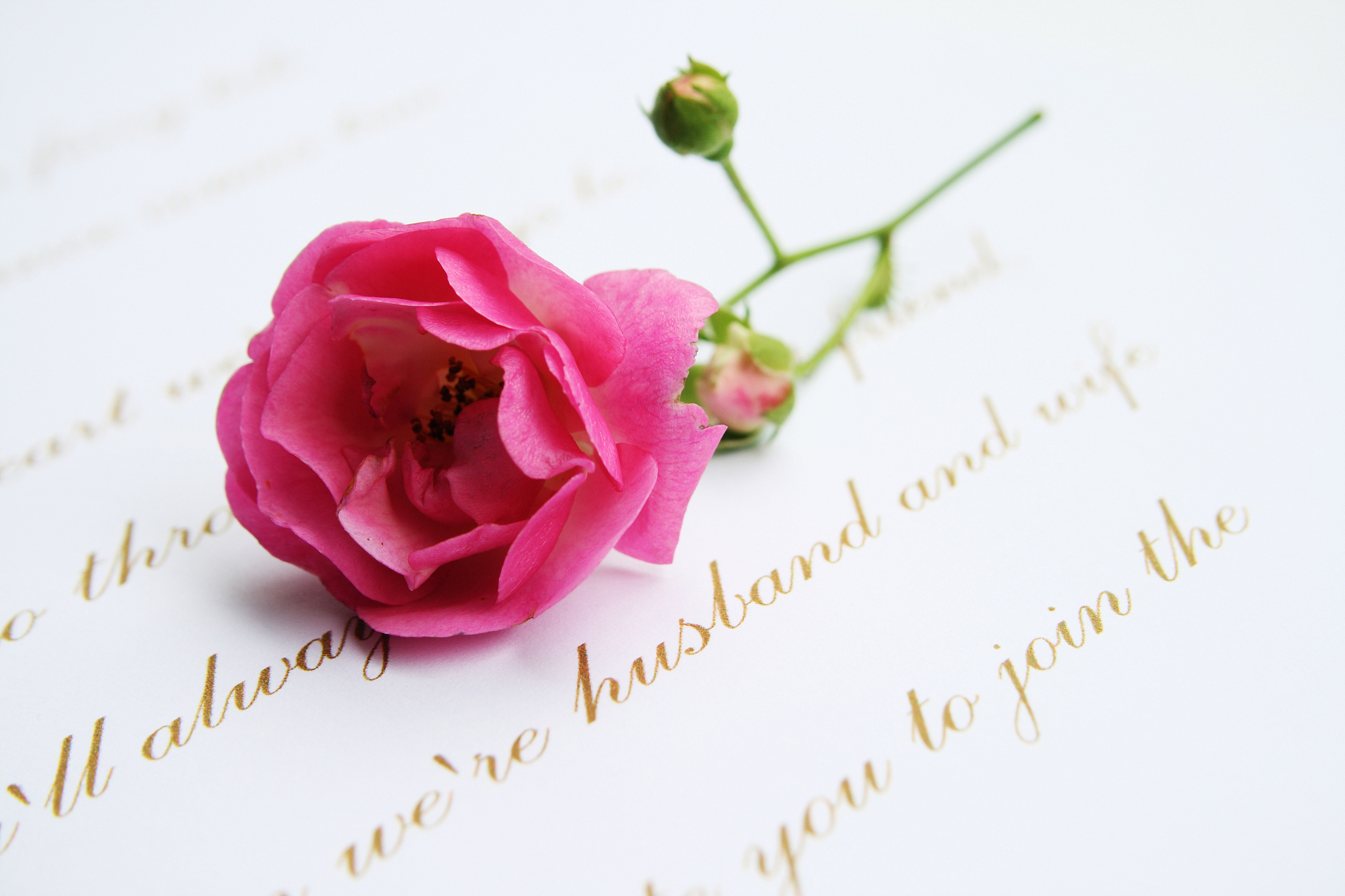 帮我写一首现代风格的关于钱的诗或词