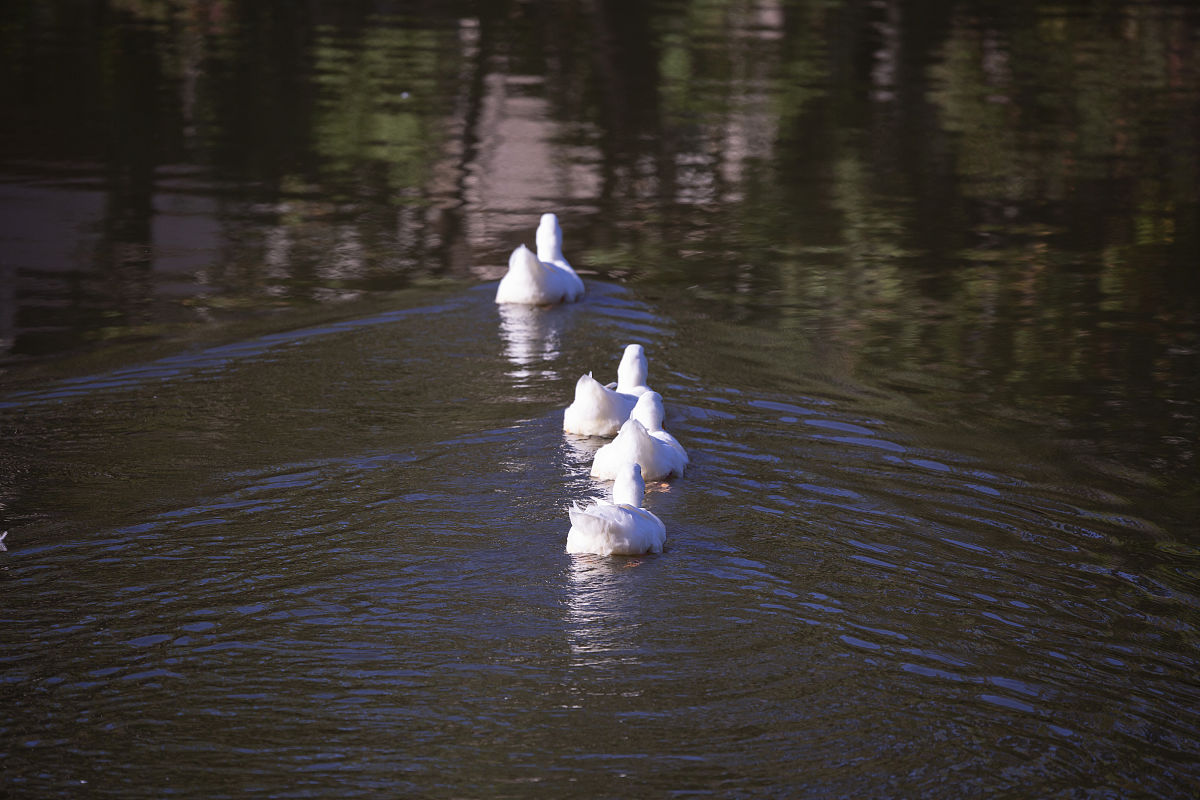 三抓三促行动总结报告五篇: 国资处工作成效与经验分享