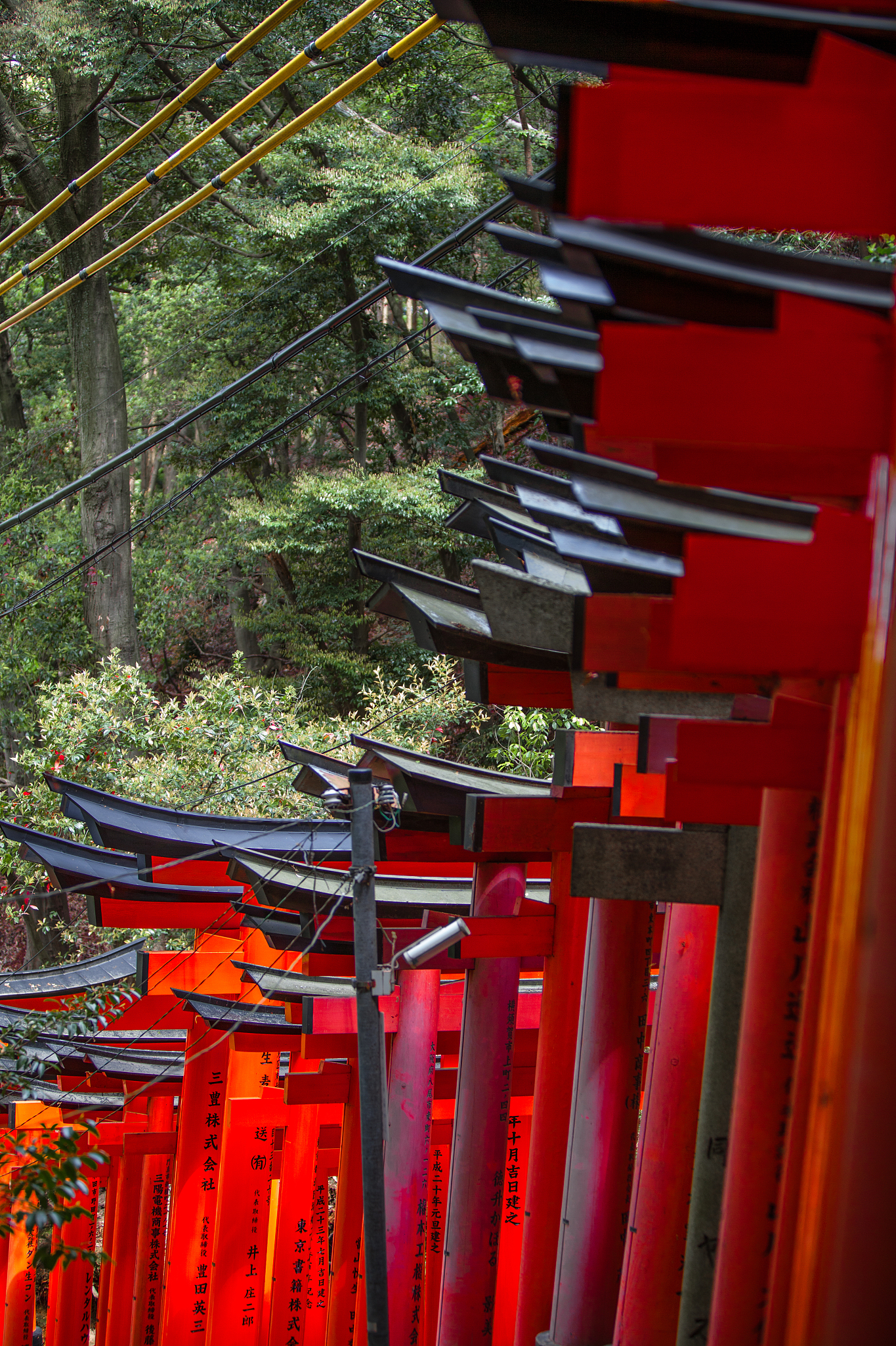 写一个日本特有文化的小说