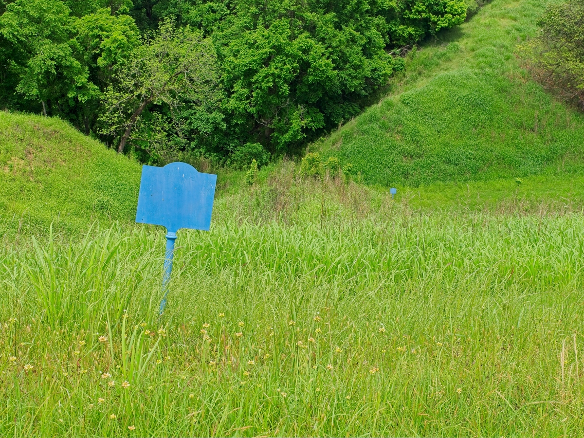 除草剂广告语：快速高效，安全环保，打造完美草坪