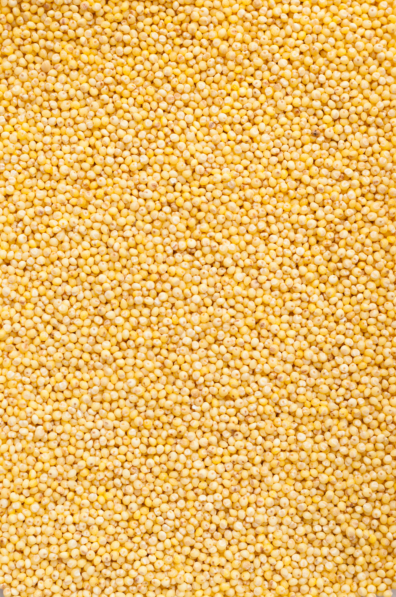 millet