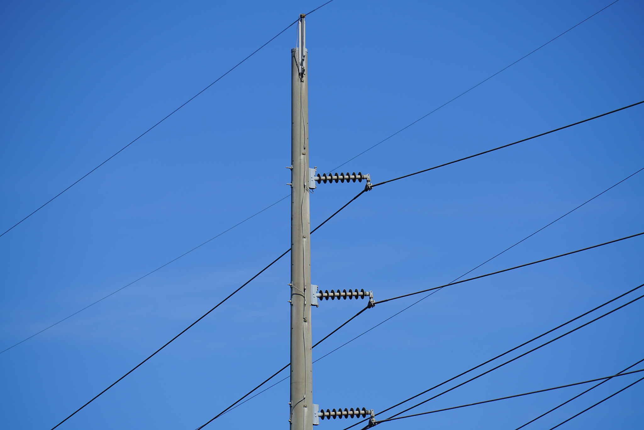 power lines in the city