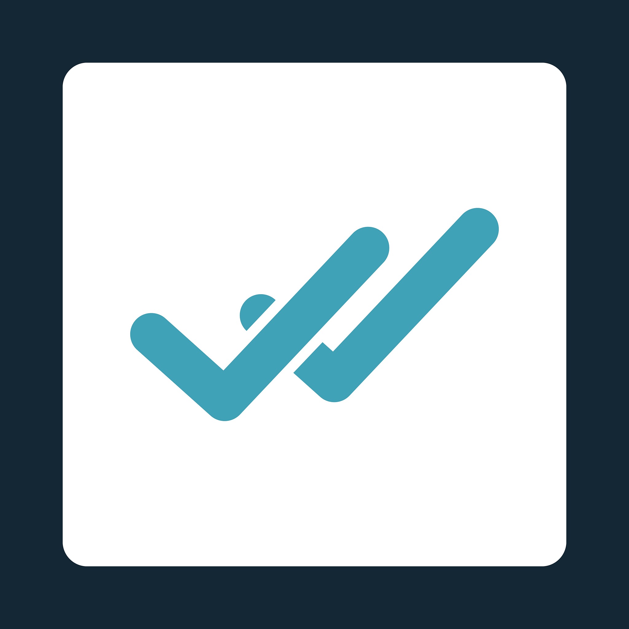 validation icon