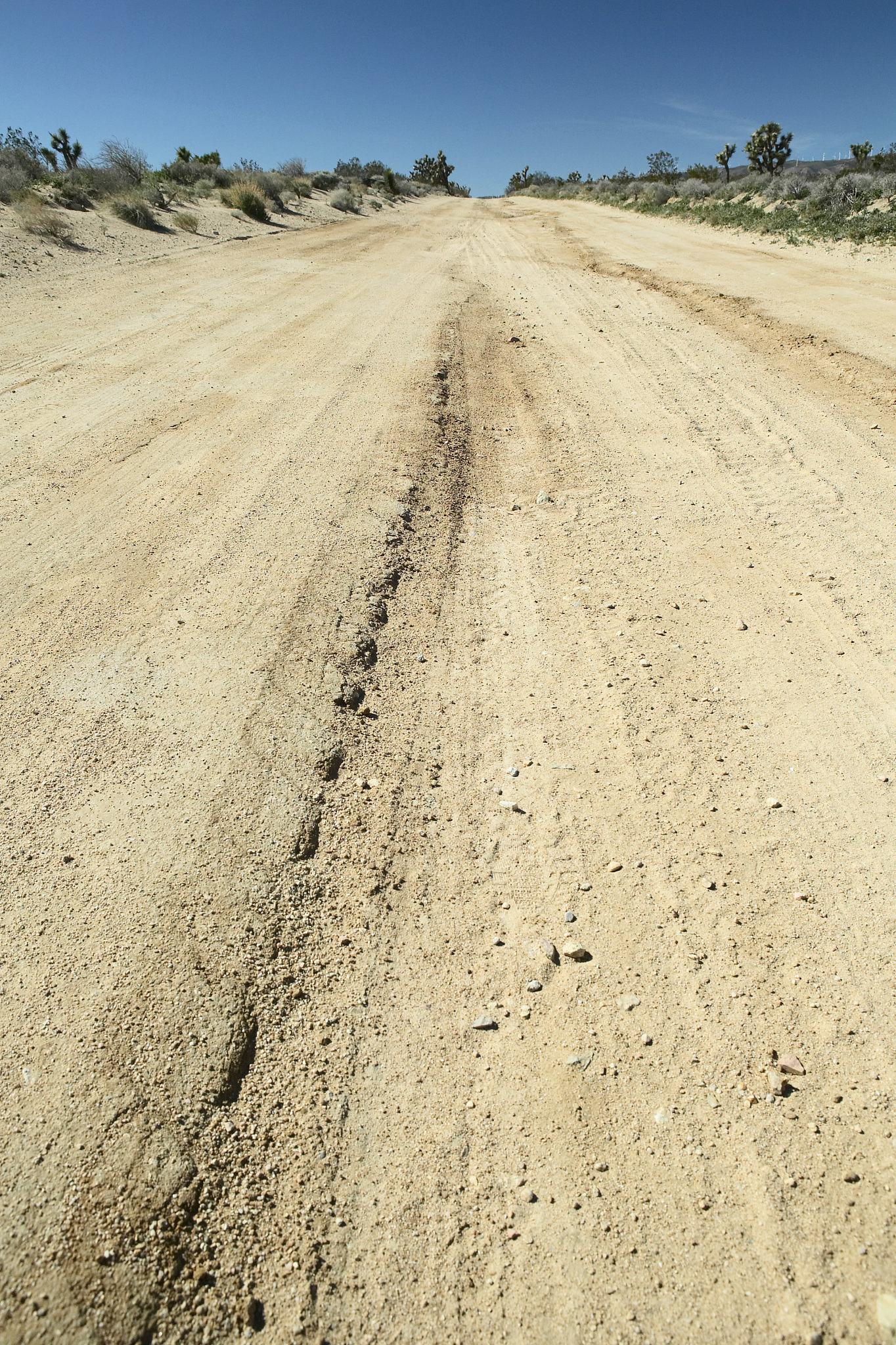 flat parched road