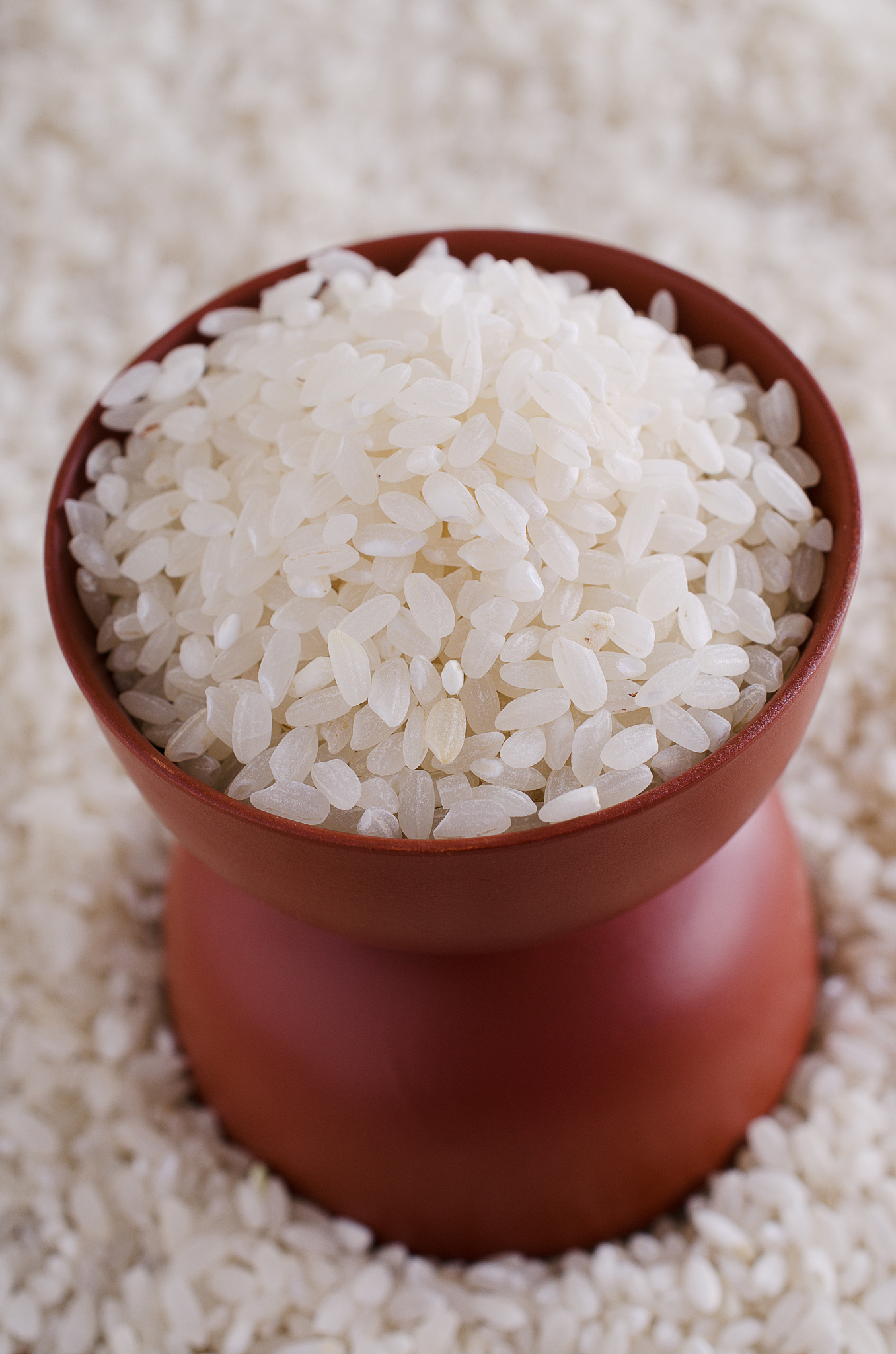 贞丰县职业技术学校食品生物工艺专业怎么样