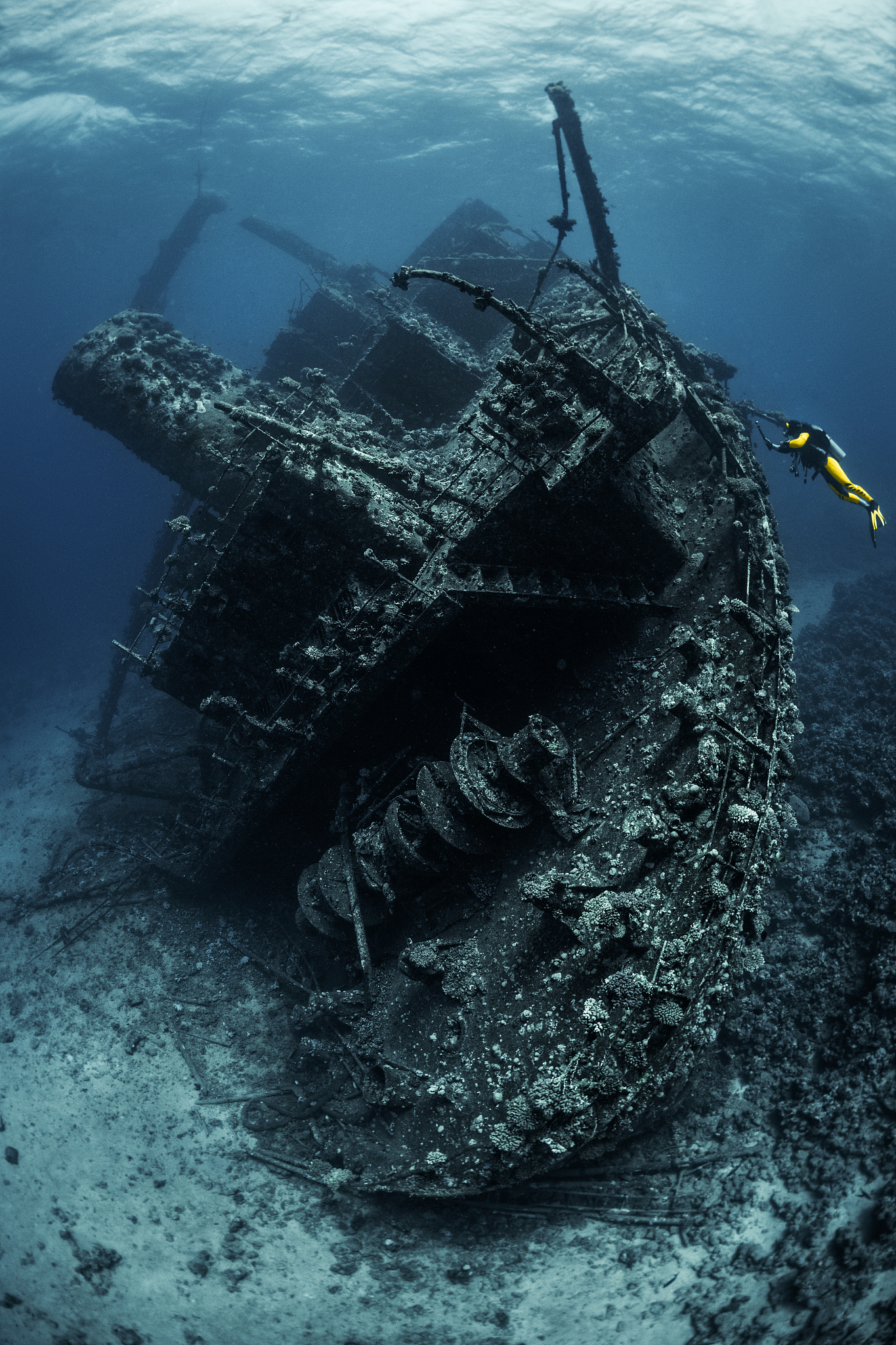 scuba diver exploring a shipwreck overgrown with corals underwat