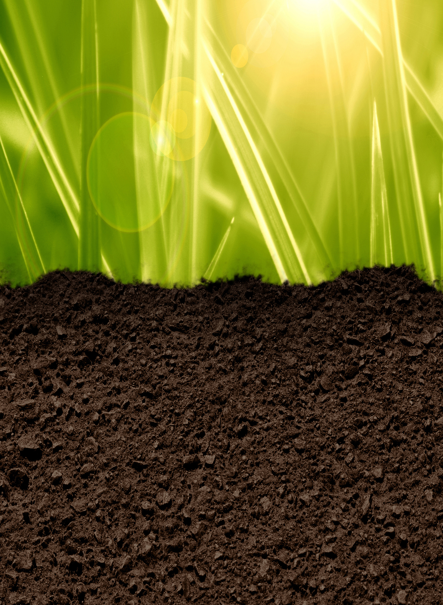 为什么微生物植物生长过程中土壤有效磷会降低微生物和植物生长过程中它们需要磷元素来维持生命活动因此会从土壤中吸收磷元素。当土壤中的有效磷被微生物和植物吸收后土壤中的有效磷含量就会降低。此外土壤中的有效磷也会被化学反应、微生物代谢和土壤侵蚀等因素影响而降低。因此为了保持土壤的肥力需要通过施肥等方式来增加土壤中的有效磷含量。继续