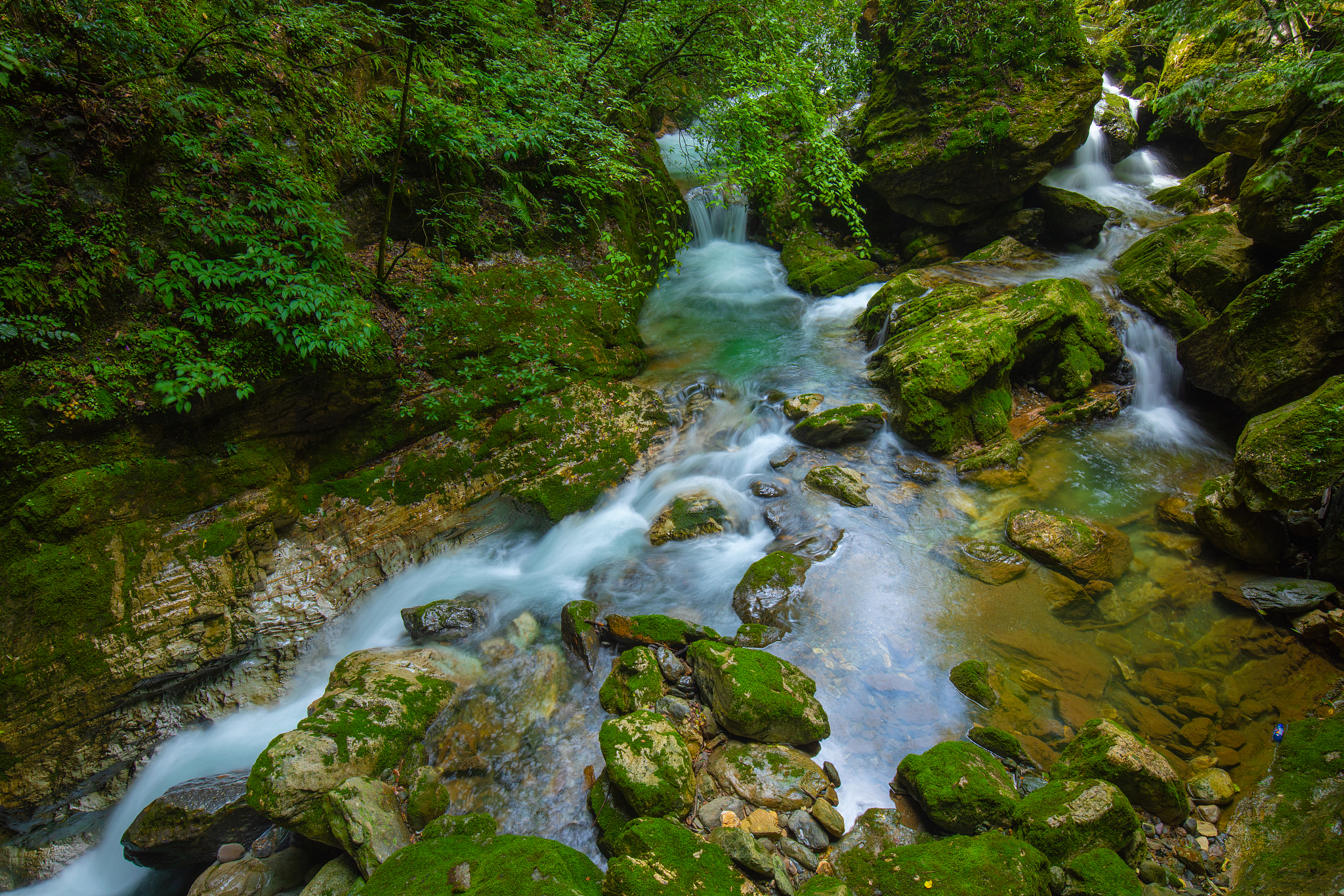 家乡风物：山、林、溪流与文化