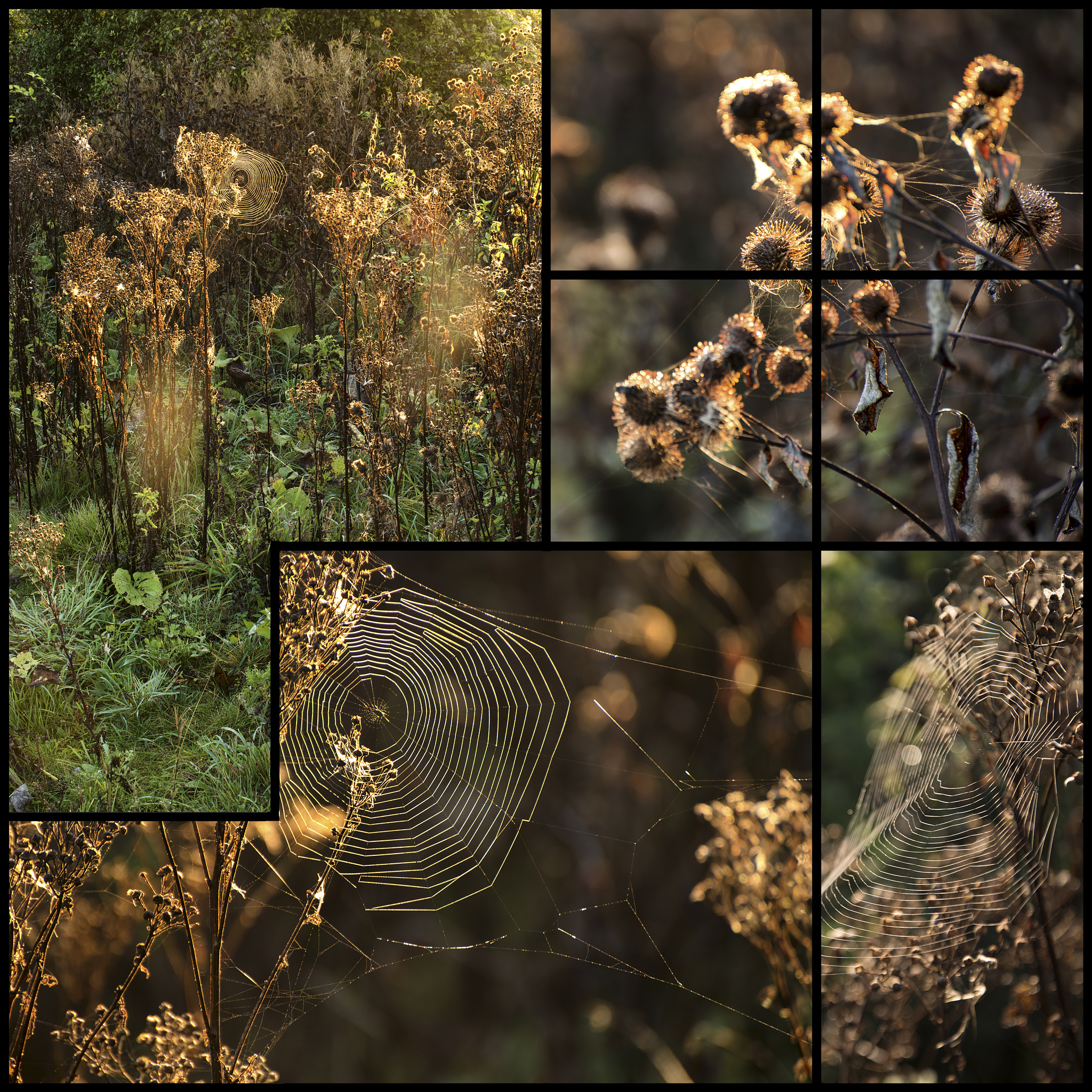 Blender 玻璃材质噪点问题解决方法