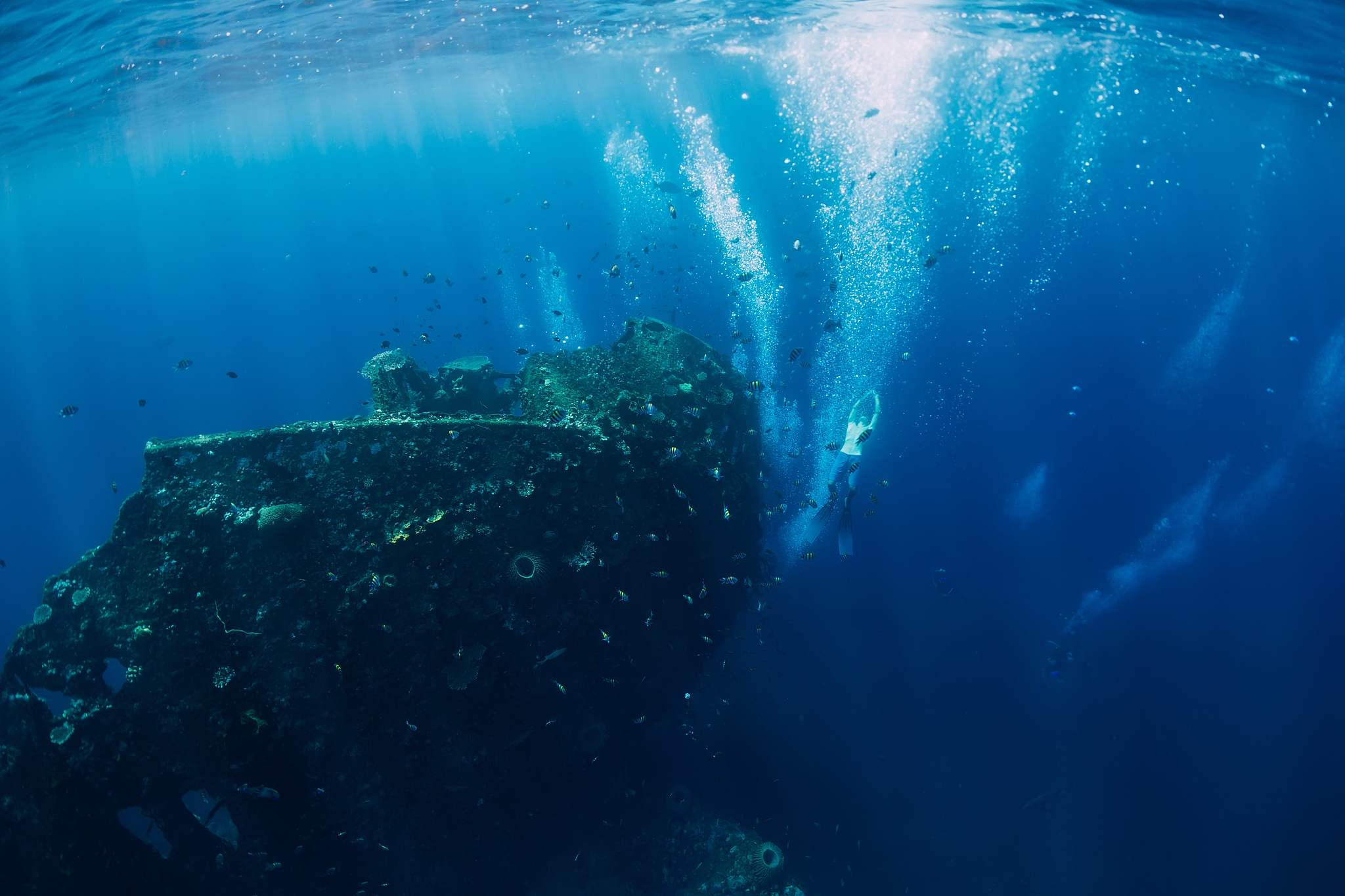free diver man dive at shipwreck and bubbles, underwater