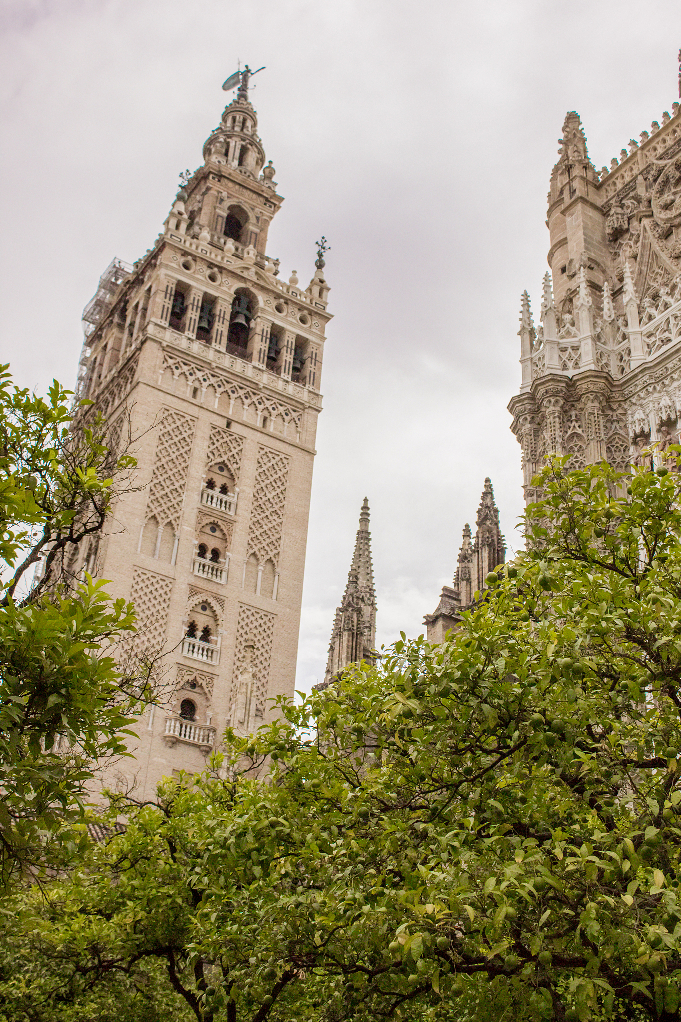 view of the giralda minaret and the cathedral listed as world he