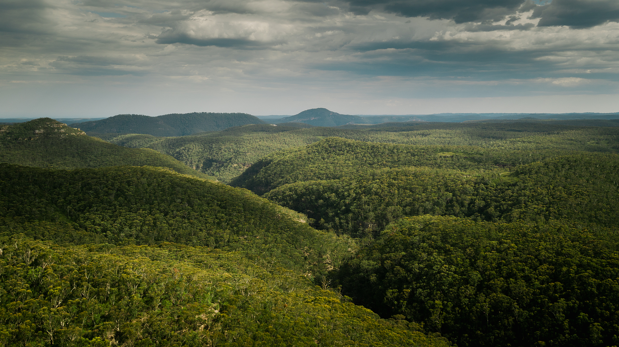 aerial view over blue mountains, australia