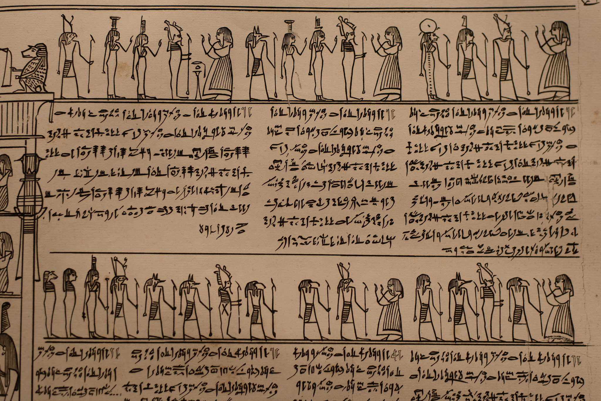 为下文进行润色修改美化这本书的是讲述从希腊文明到罗马文明再到蛮族入侵进入中世纪再开始新教革命文艺复兴科学革命工业革命的一段发展史。整个文明的进程层层递进希腊文明奠基了哲学、科学罗马文明保存了希腊文明并举国支持基督教成为国教而北方蛮族与东方伊斯兰的入侵让罗马帝国名存实亡罗马帝国从此以宗教权威延续进入长达一千年的中世纪。作者从三大元素：古希腊罗马文化、基督教教义以及日耳曼战士文化开篇描述了这三大元素如