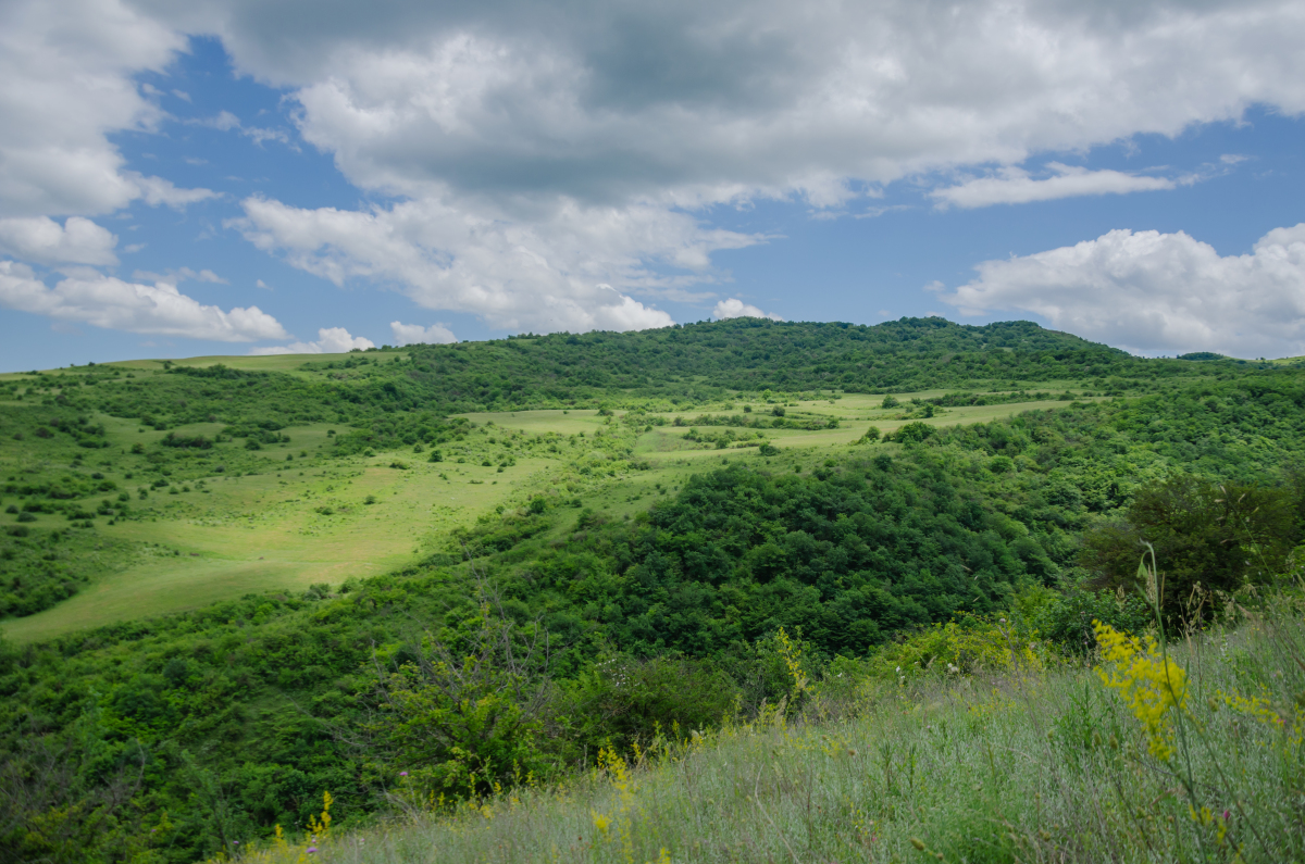 三叉神经核团：位于面神经丘深处的关键神经核团