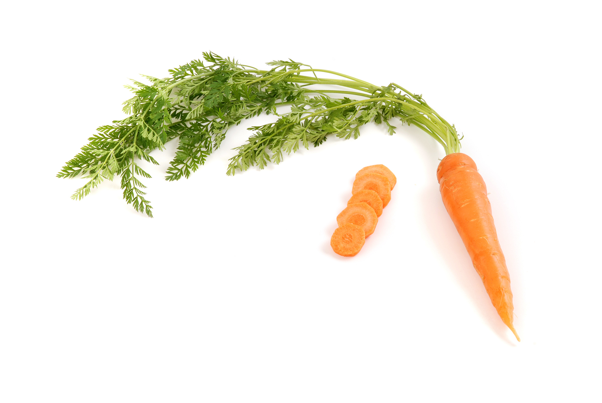 胡萝卜素在植物的哪些部位含量高？