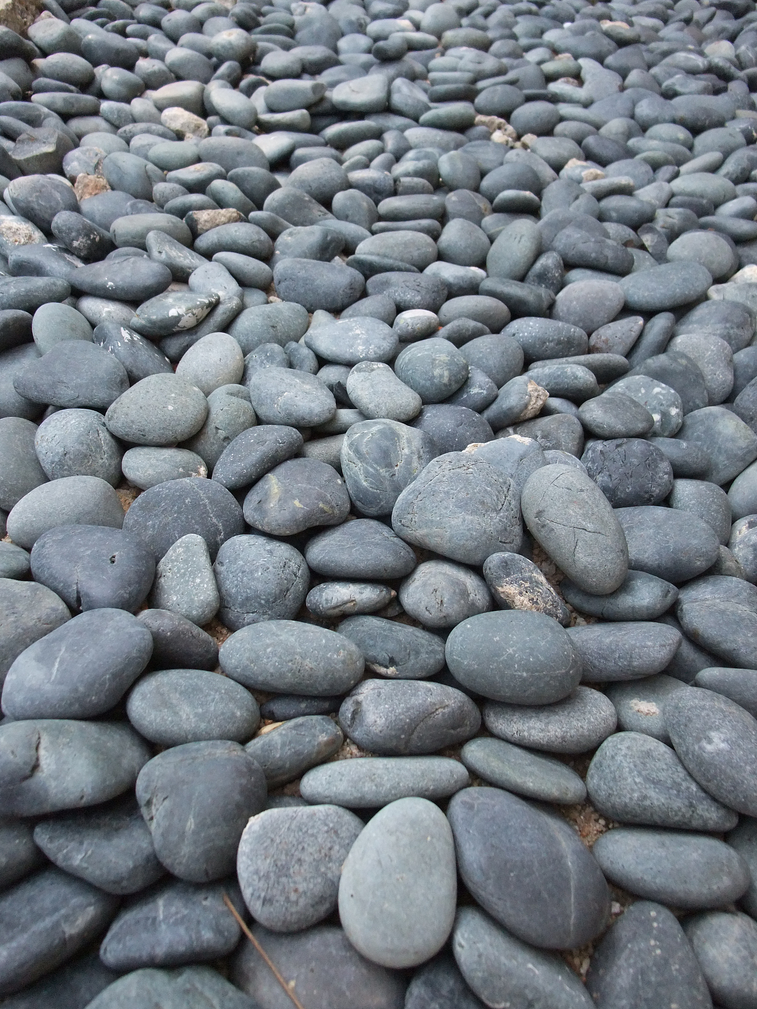 土地要素保障：合理利用、保护和管理的基石