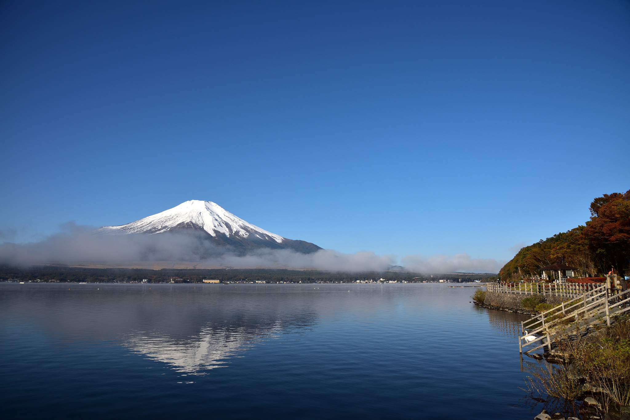 河北艺术职业学院摄影摄像技术专业都学些什么