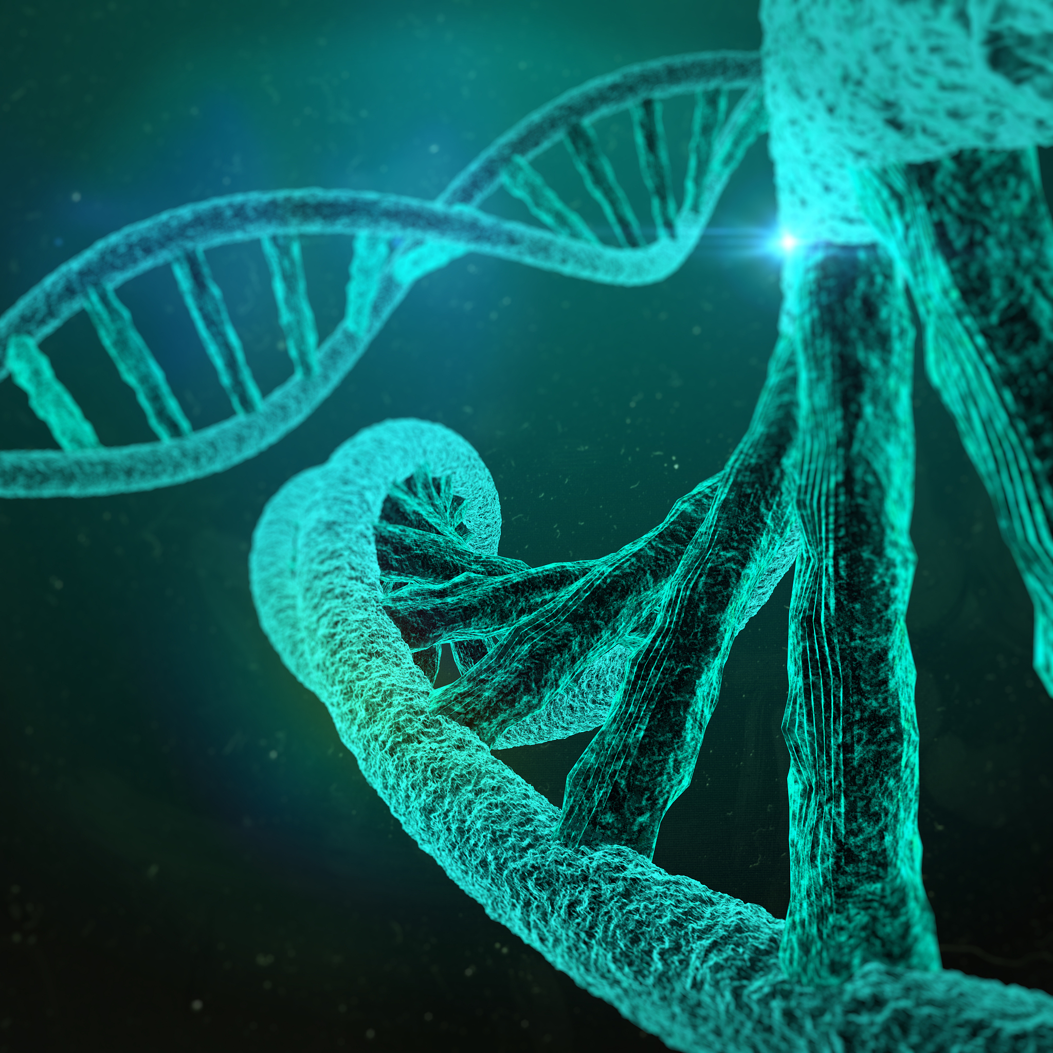 MOLECULAR GENETICS AND GENOMICS期刊详细介绍？