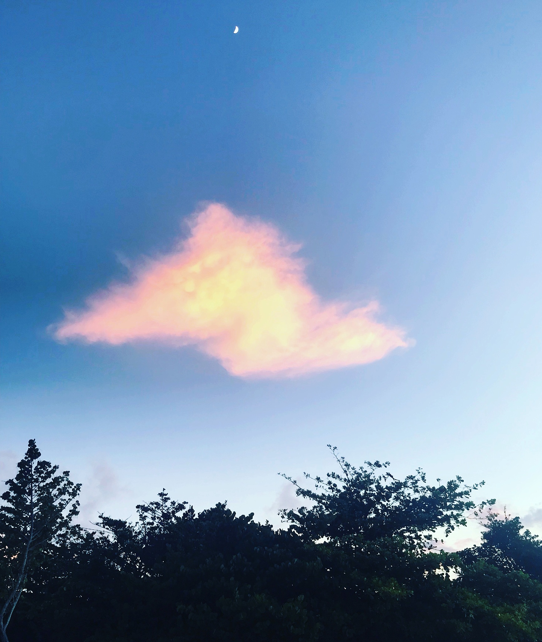朋友圈照片背景怎么保存？手机相册快速查找！