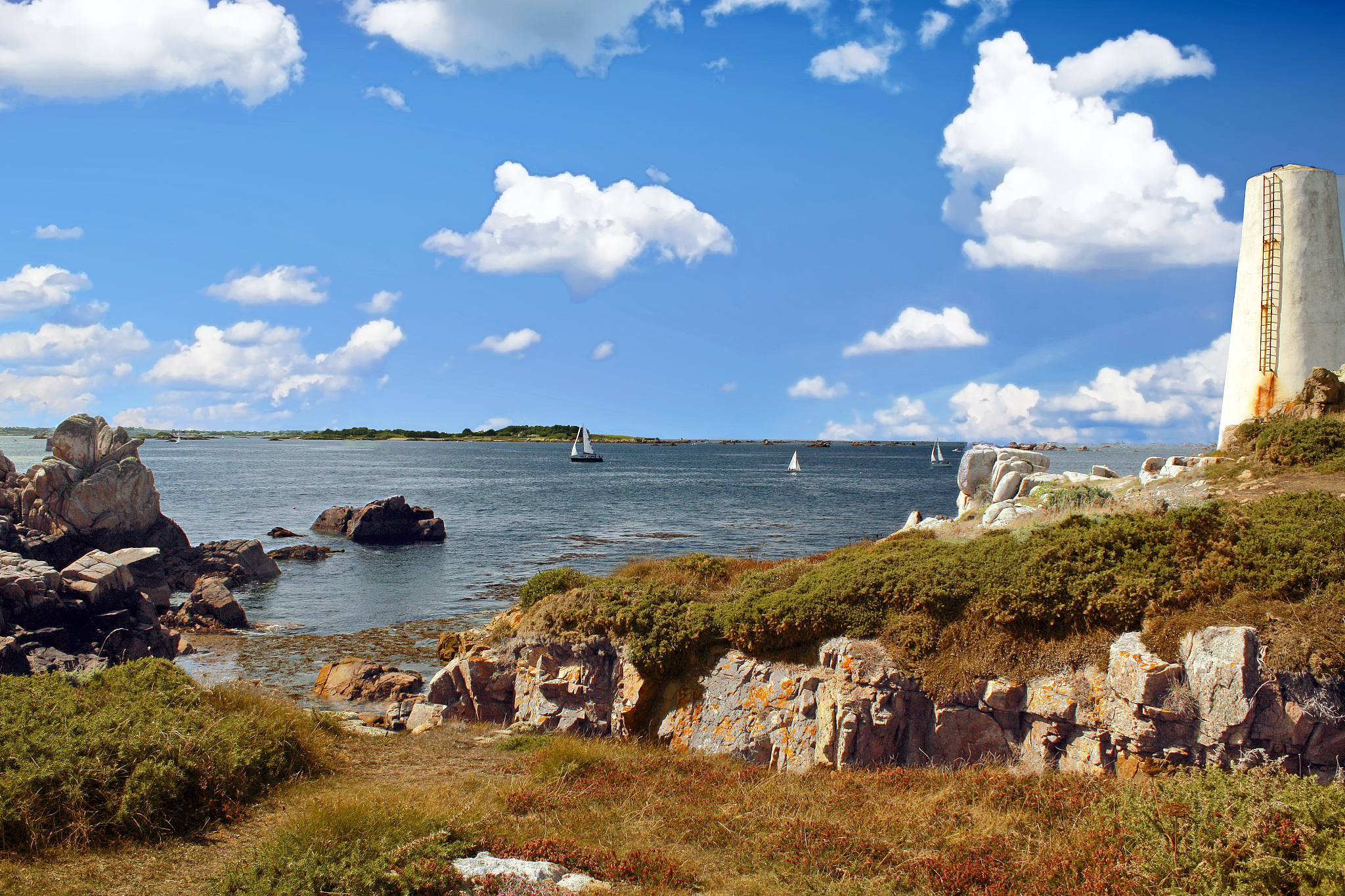 You are an expert in biology as well as an English linguist very good at language editing and expression Please help me to paraphrase this passage more academically and more concisely The molting morp