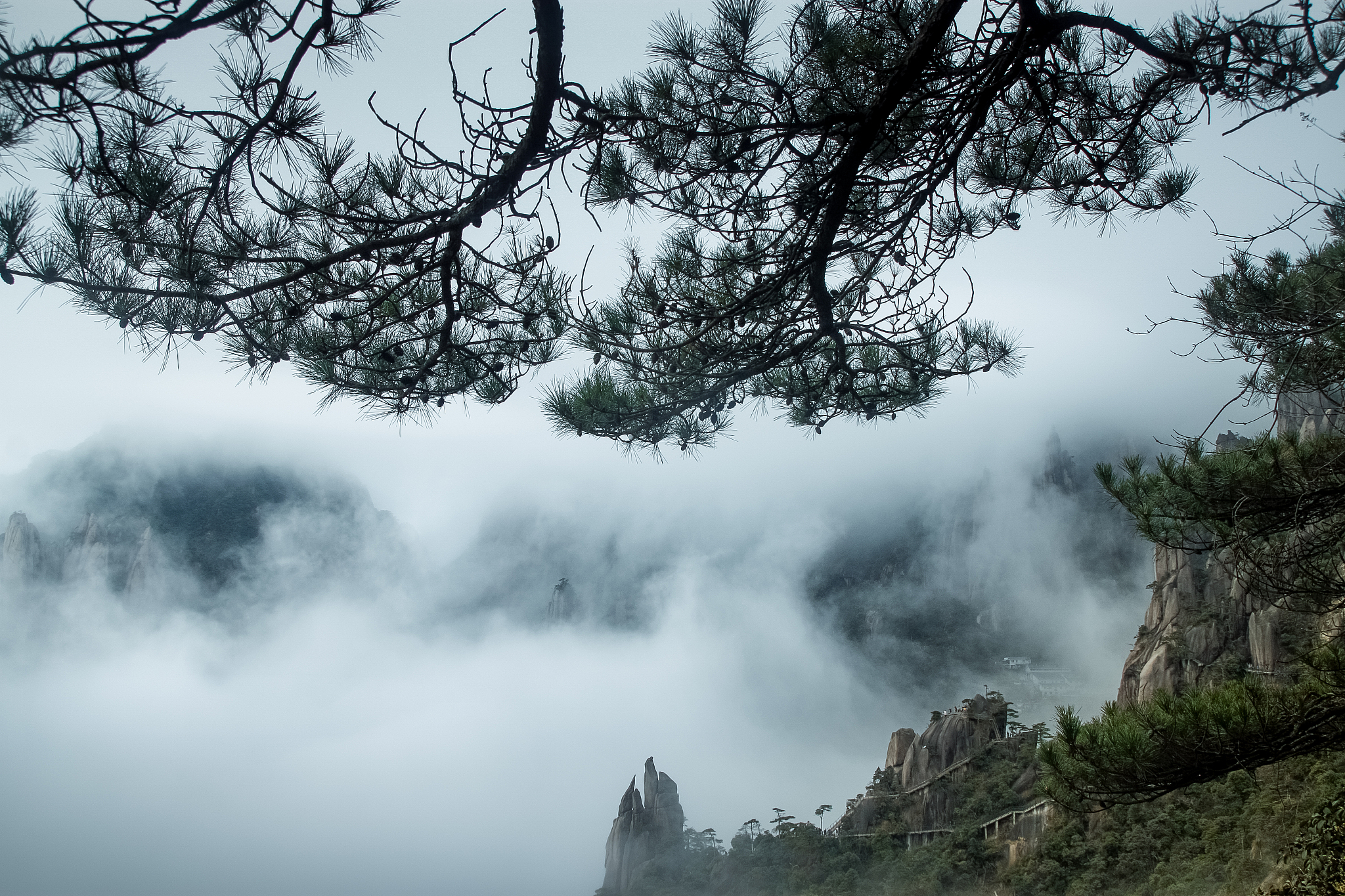 我见青山多妩媚续写