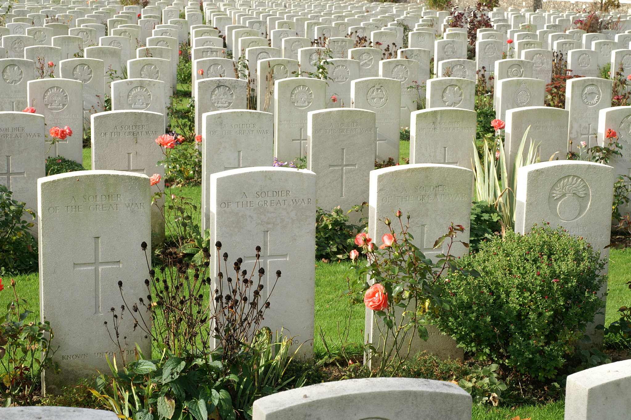 完善的墓地设施：满足您对逝者最后的尊重