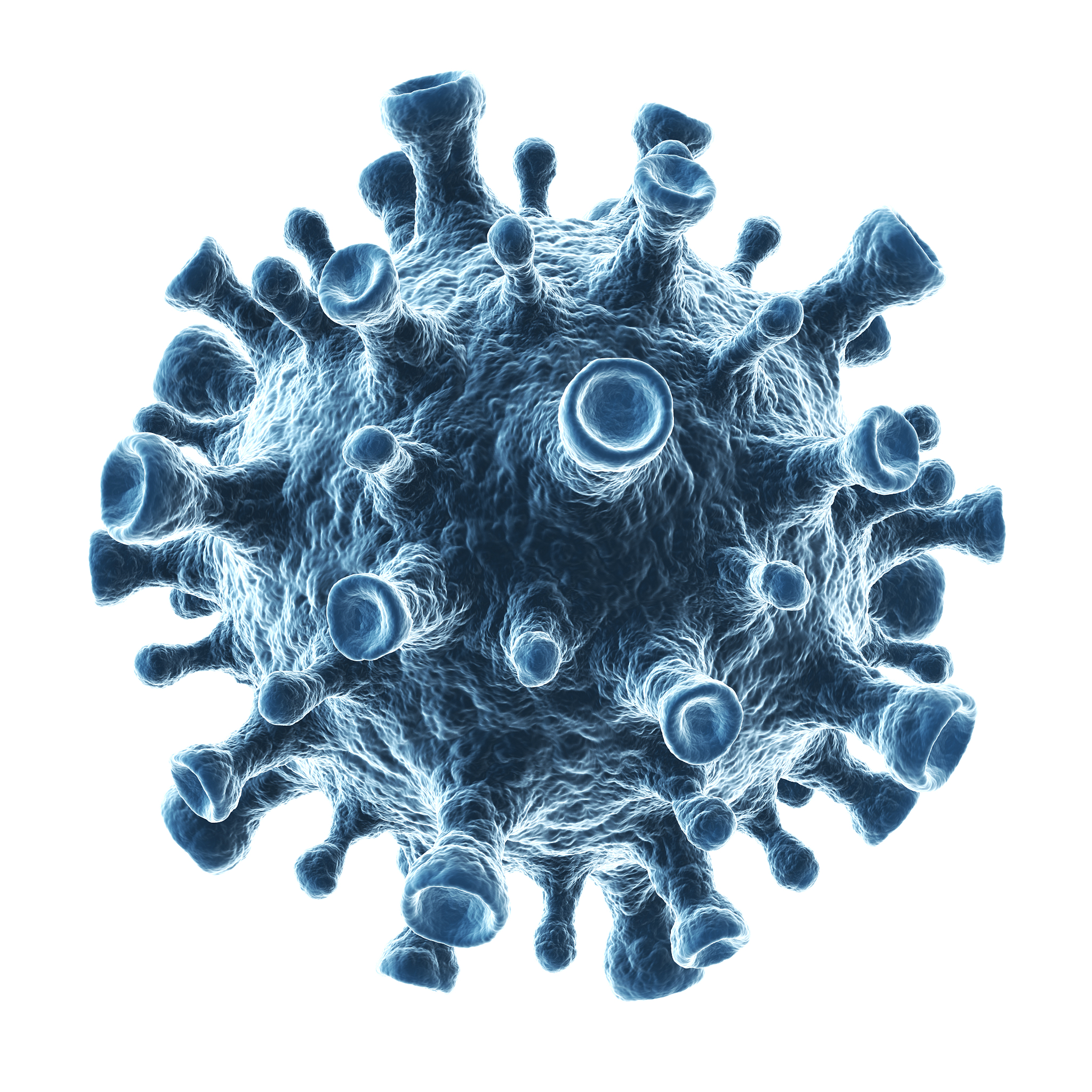 新冠病毒起源：自然还是人造？